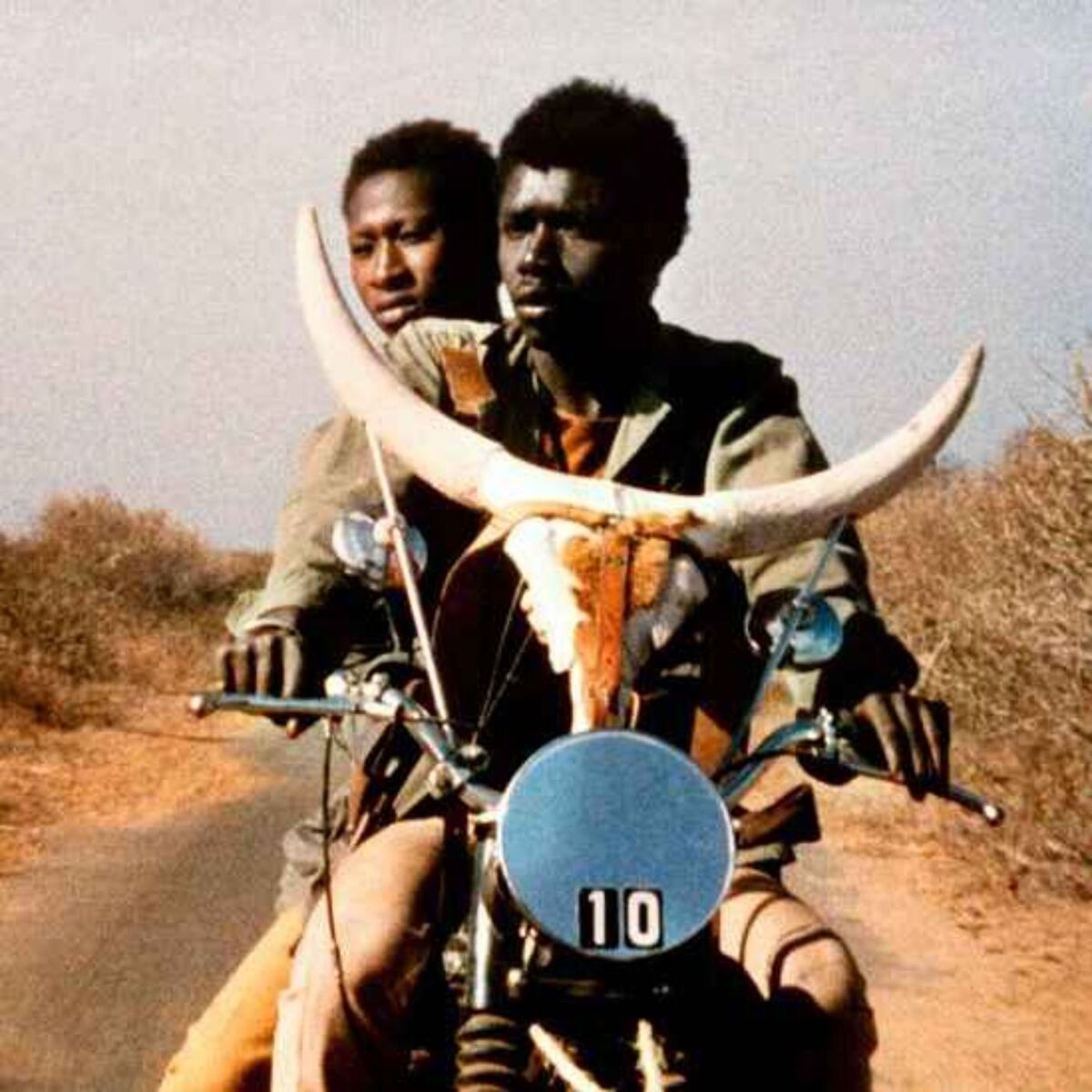 Show cover of African Cinema: Perspectives from Ohio