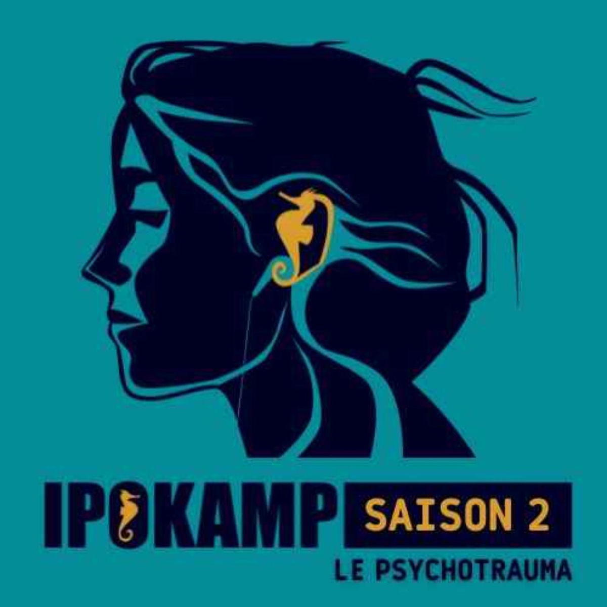 Show cover of IPOKAMP