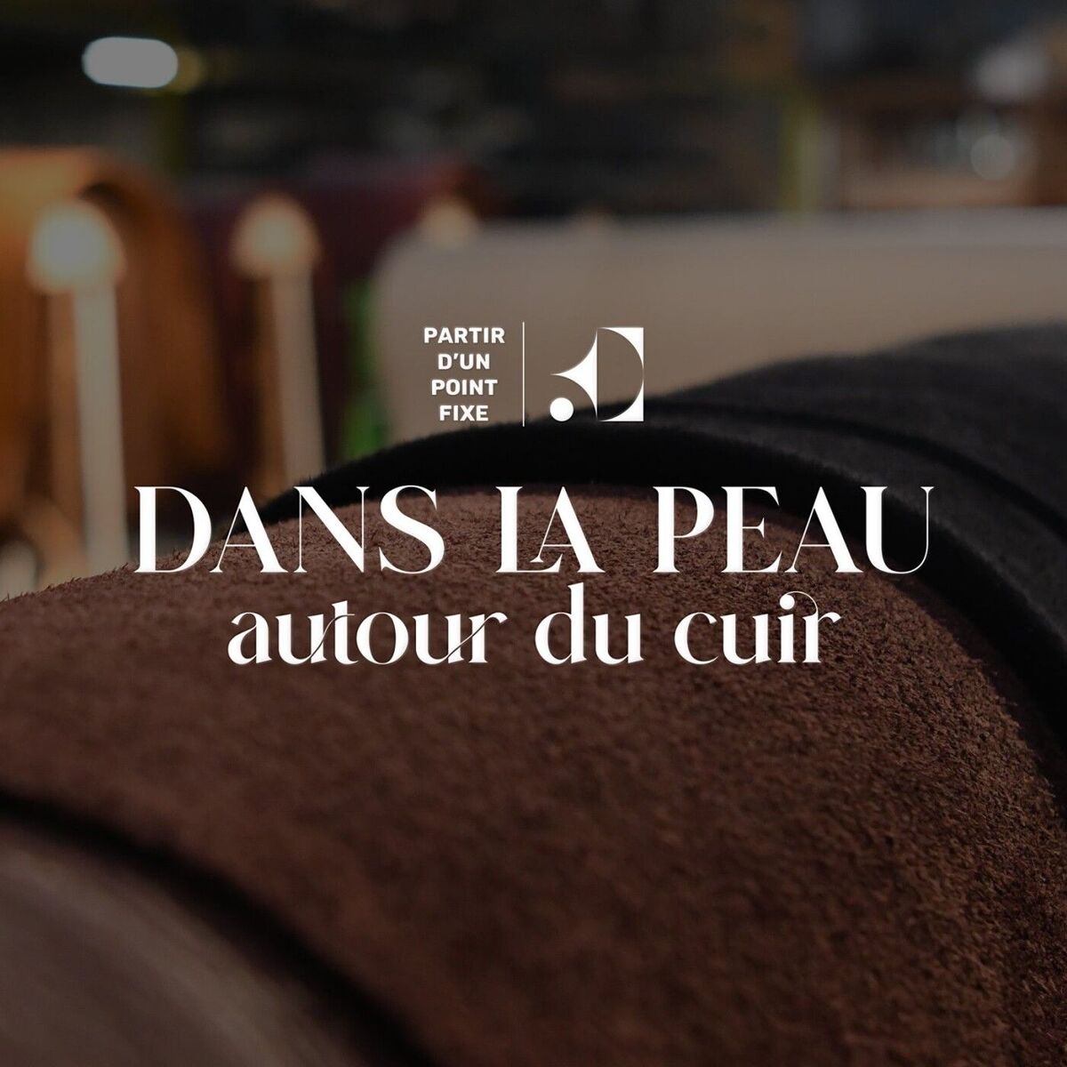 Show cover of Dans la peau - autour du cuir