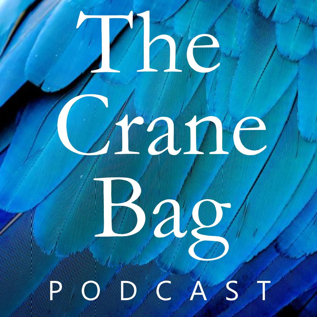 Show cover of The Crane Bag Podcast