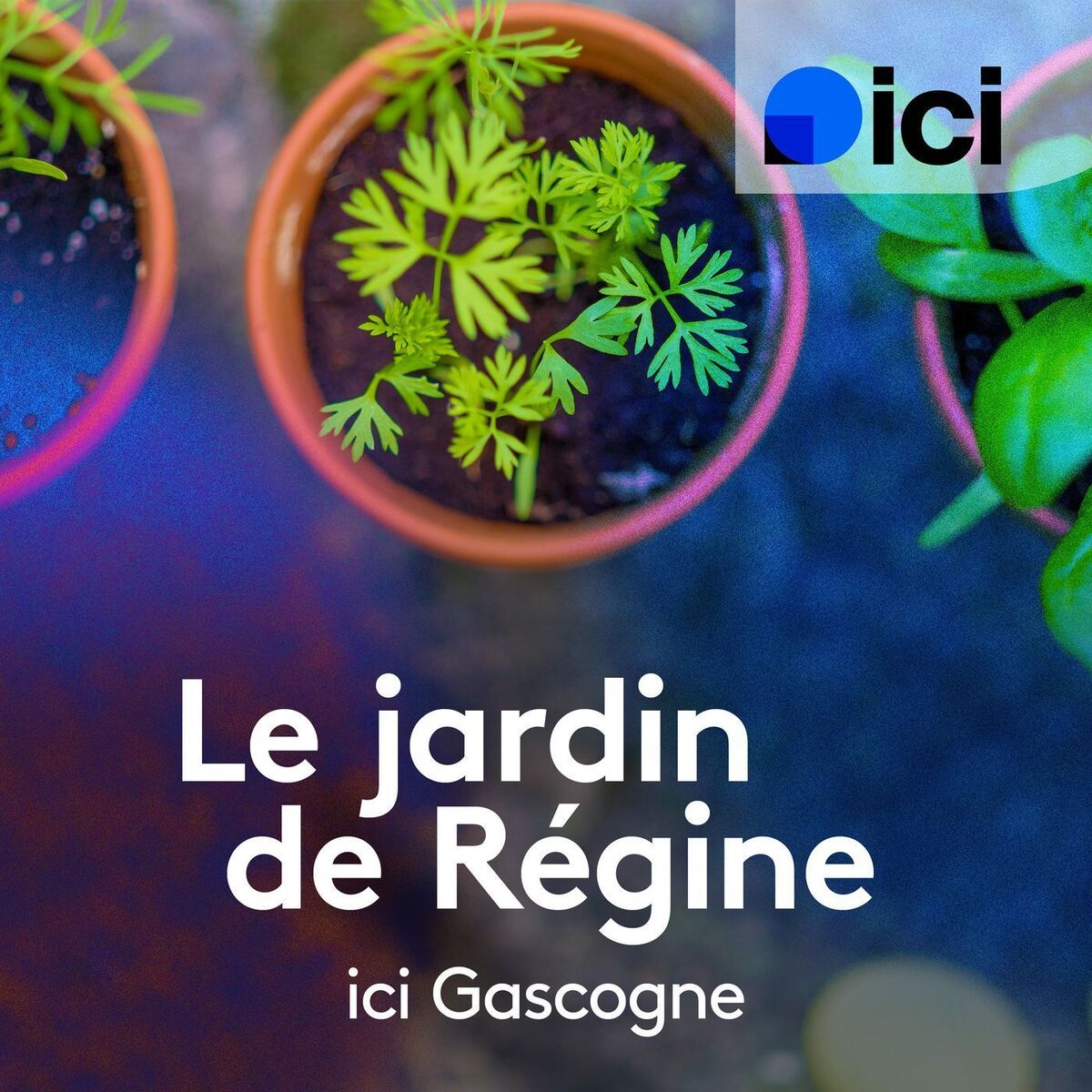 Show cover of Le Jardin de Régine - 