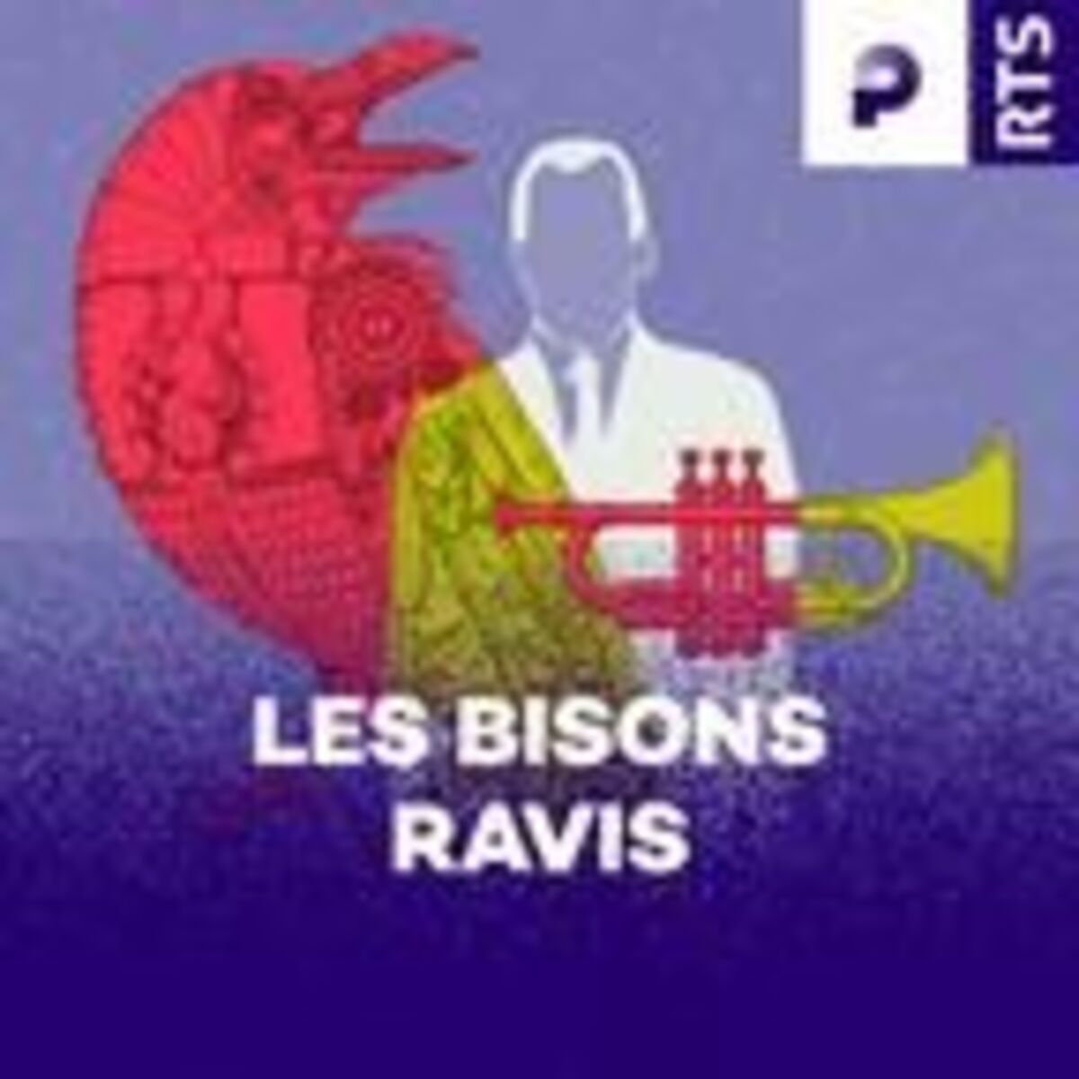 Show cover of Les bisons ravis ‐ RTS