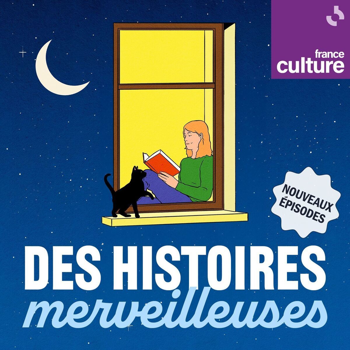 Show cover of Des histoires merveilleuses