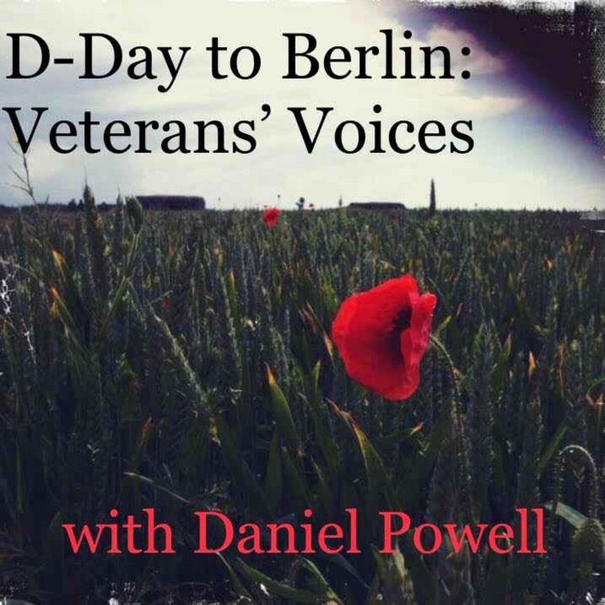 Show cover of D-DAY TO BERLIN: VETERANS' VOICES
