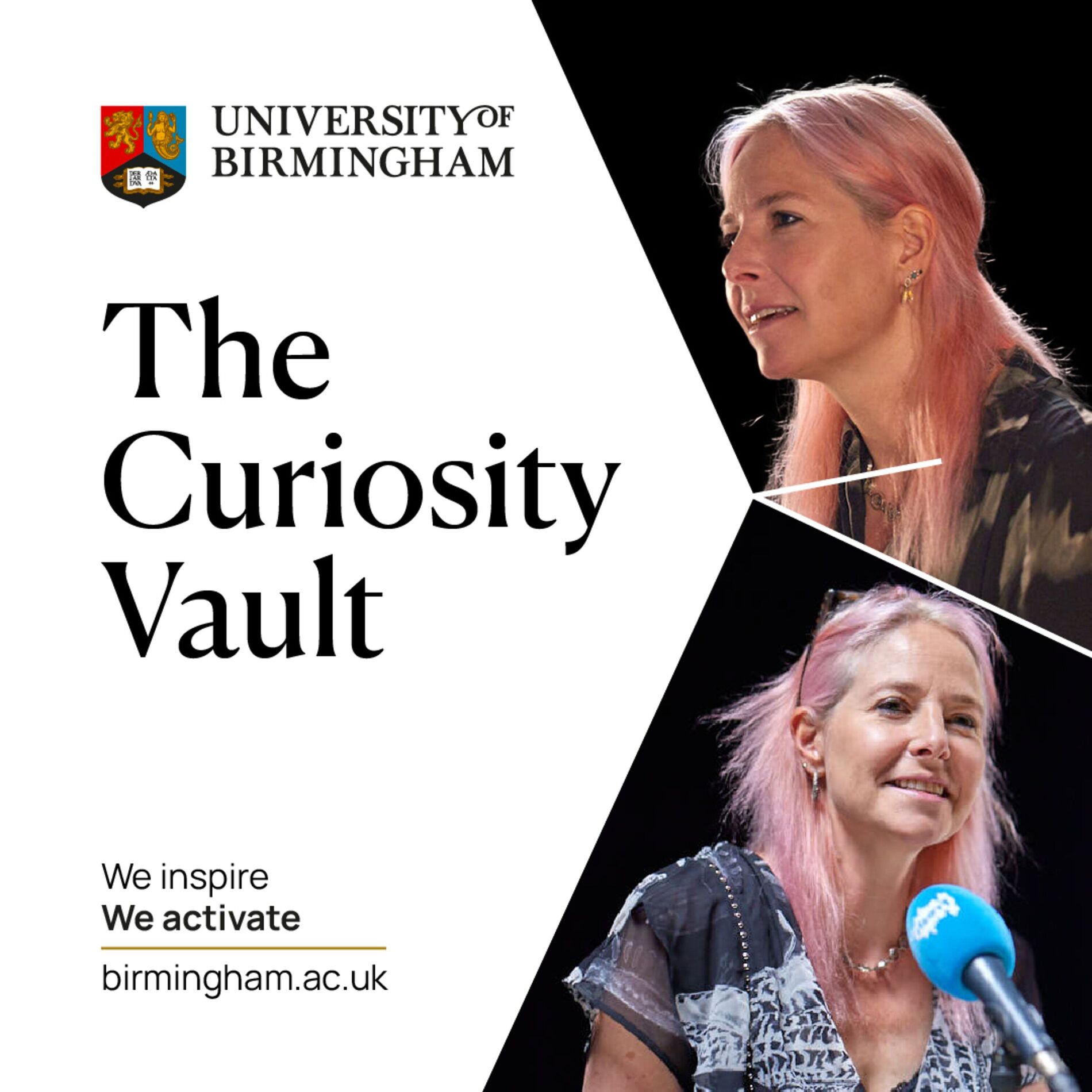 Show cover of The Curiosity Vault