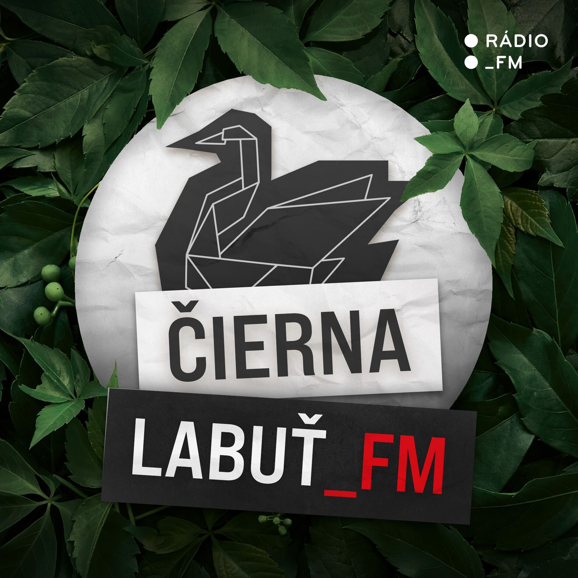 Show cover of Čierna labuť_FM