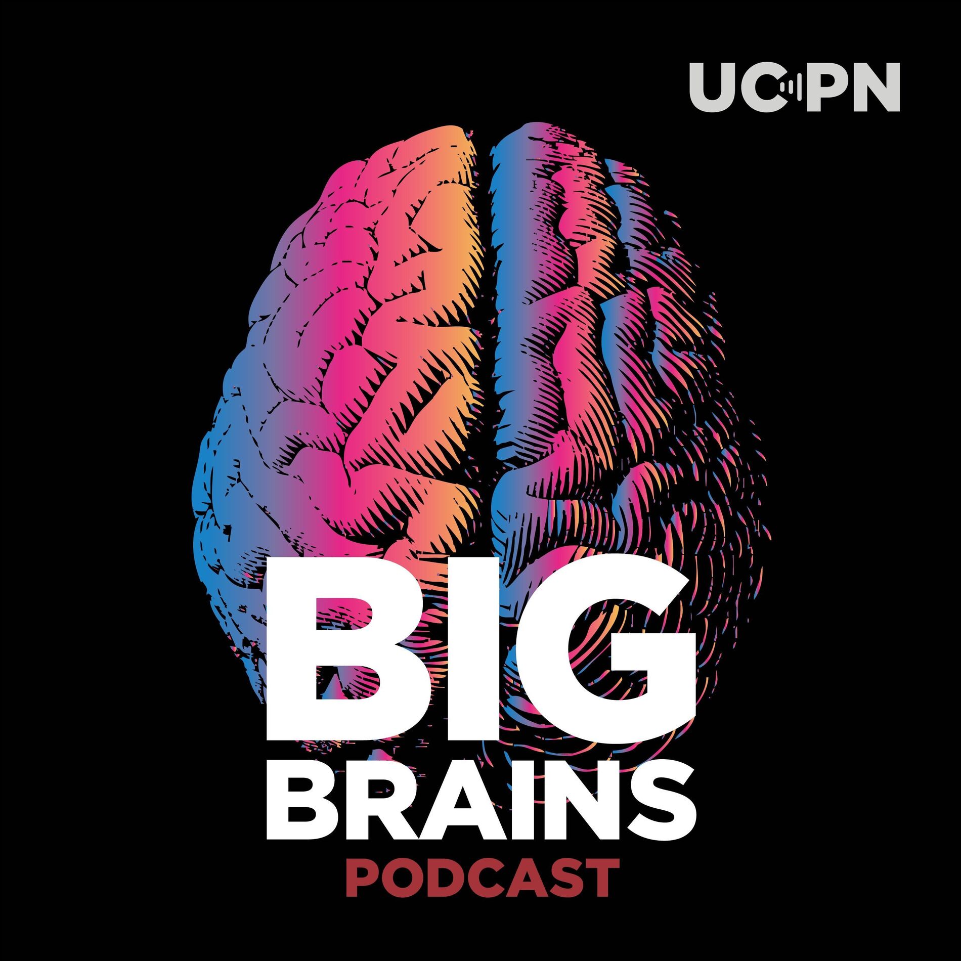Show cover of Big Brains