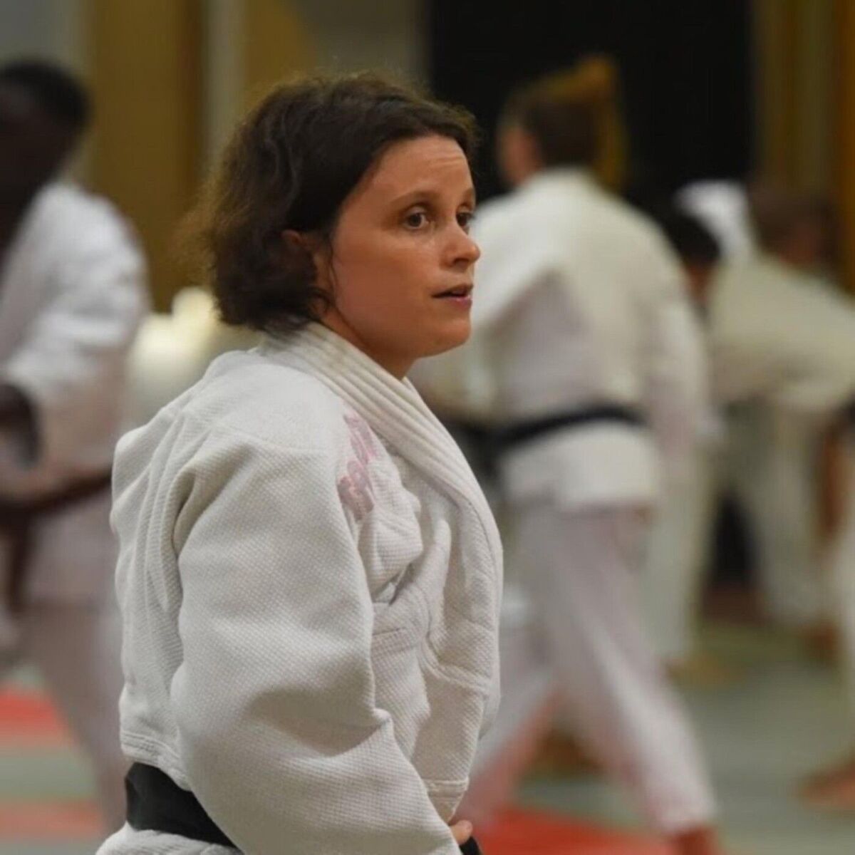 Show cover of Secrets de Judokas