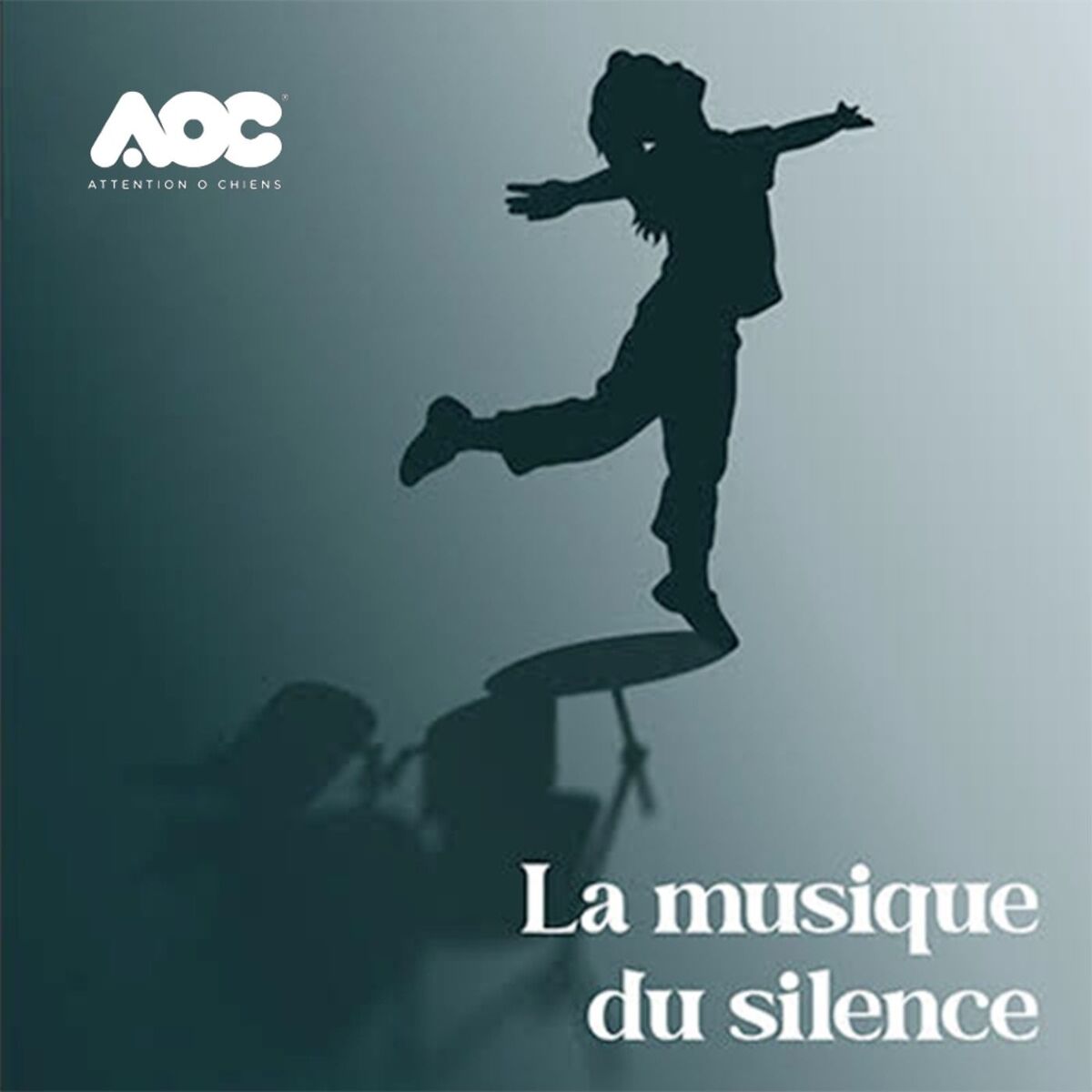 Show cover of La musique du silence