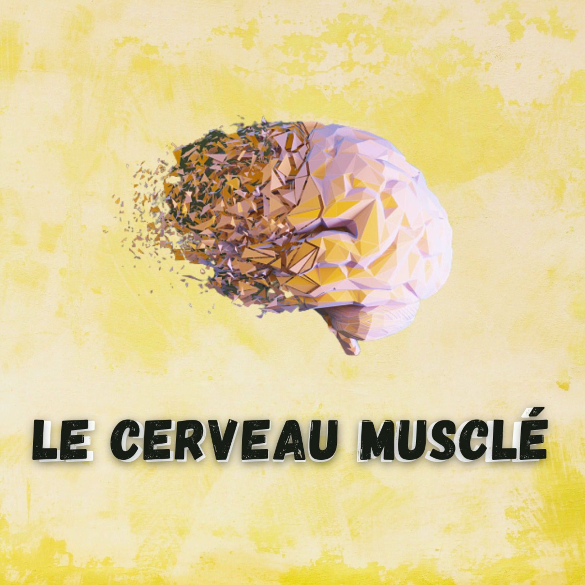 Show cover of Le cerveau musclé