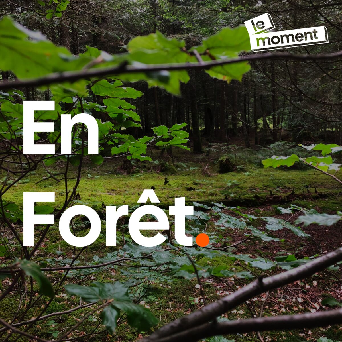 Show cover of En Forêt