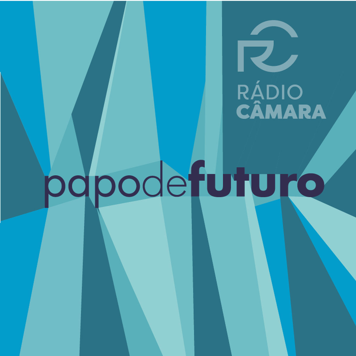 Show cover of Papo de Futuro