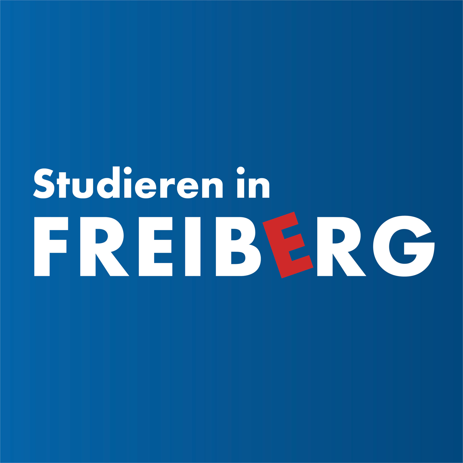 Show cover of Studieren in Freiberg - Freiberg mit 