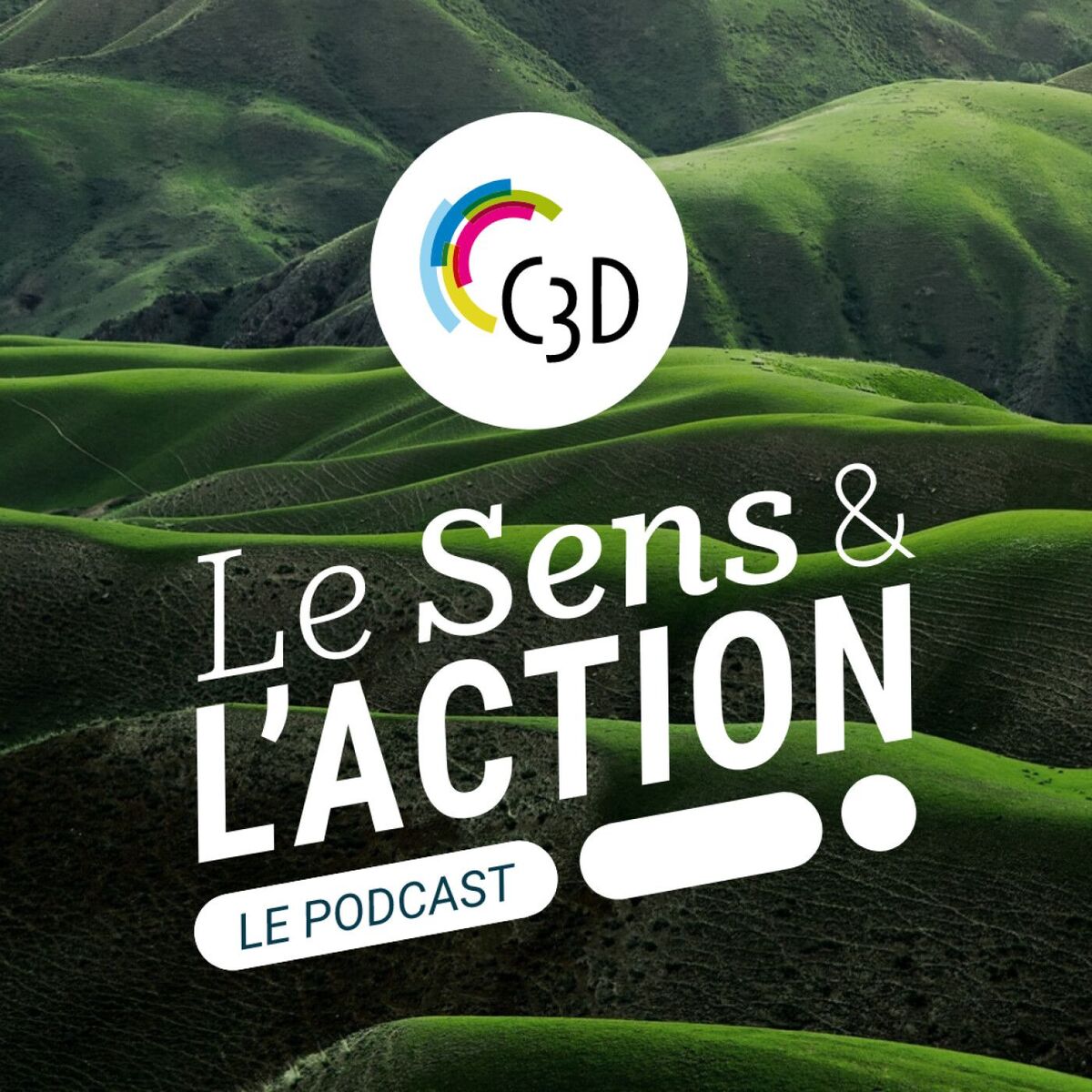 Show cover of Le Sens & l'Action