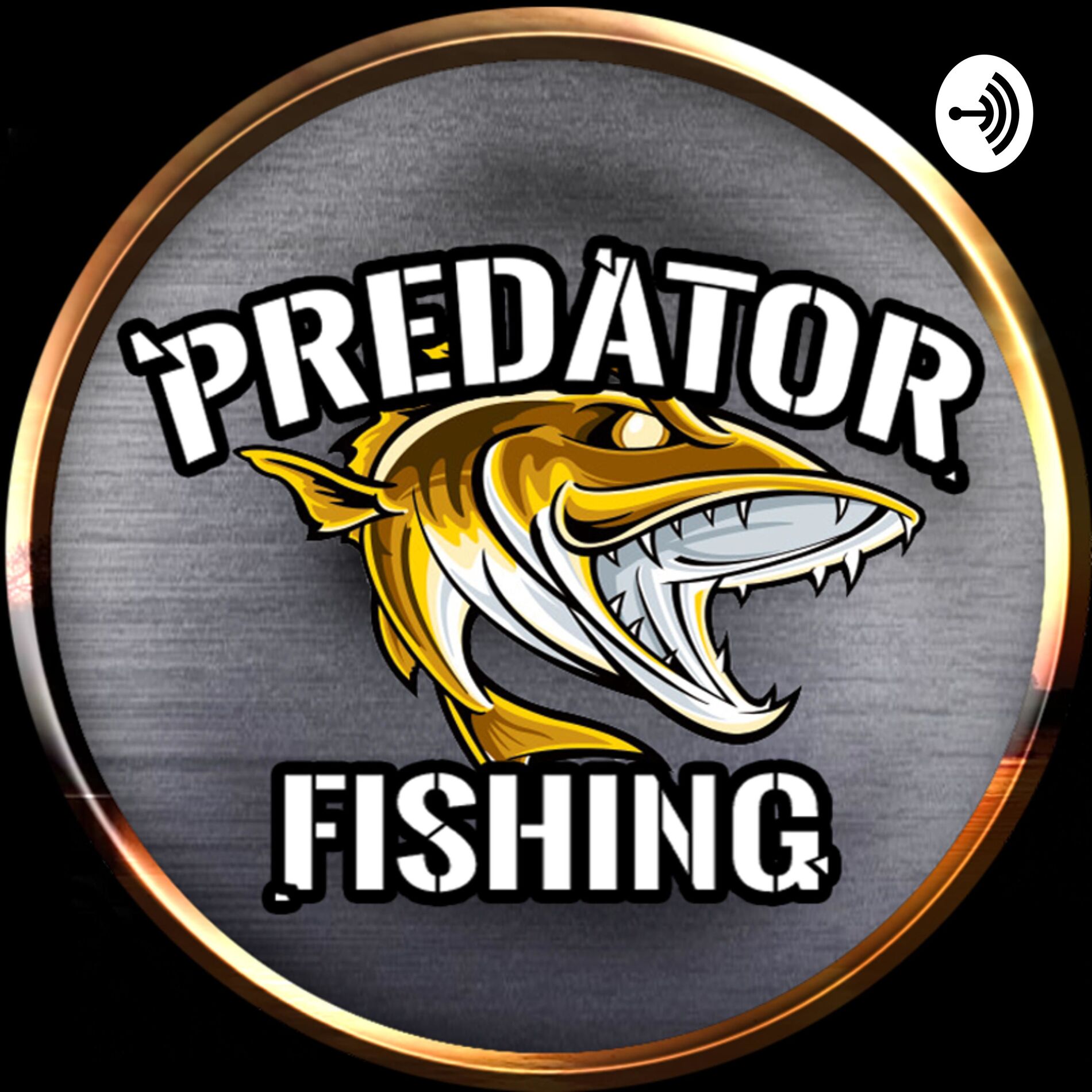 Show cover of Predator Fishing | Raubfisch angeln leicht gemacht