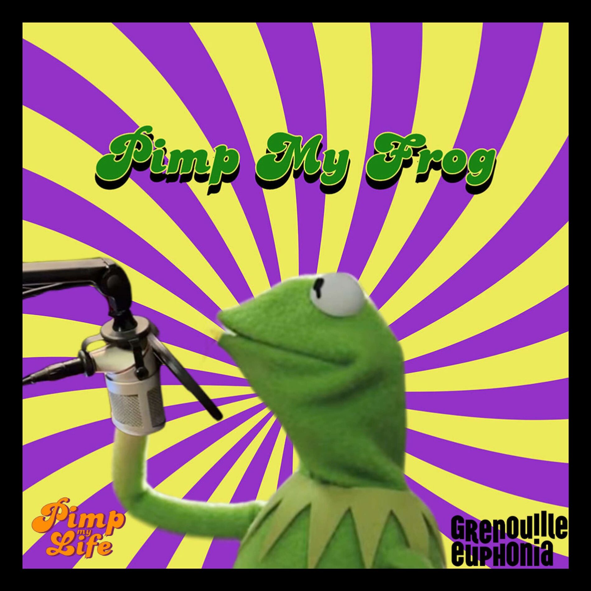 Show cover of Pimp My Frog