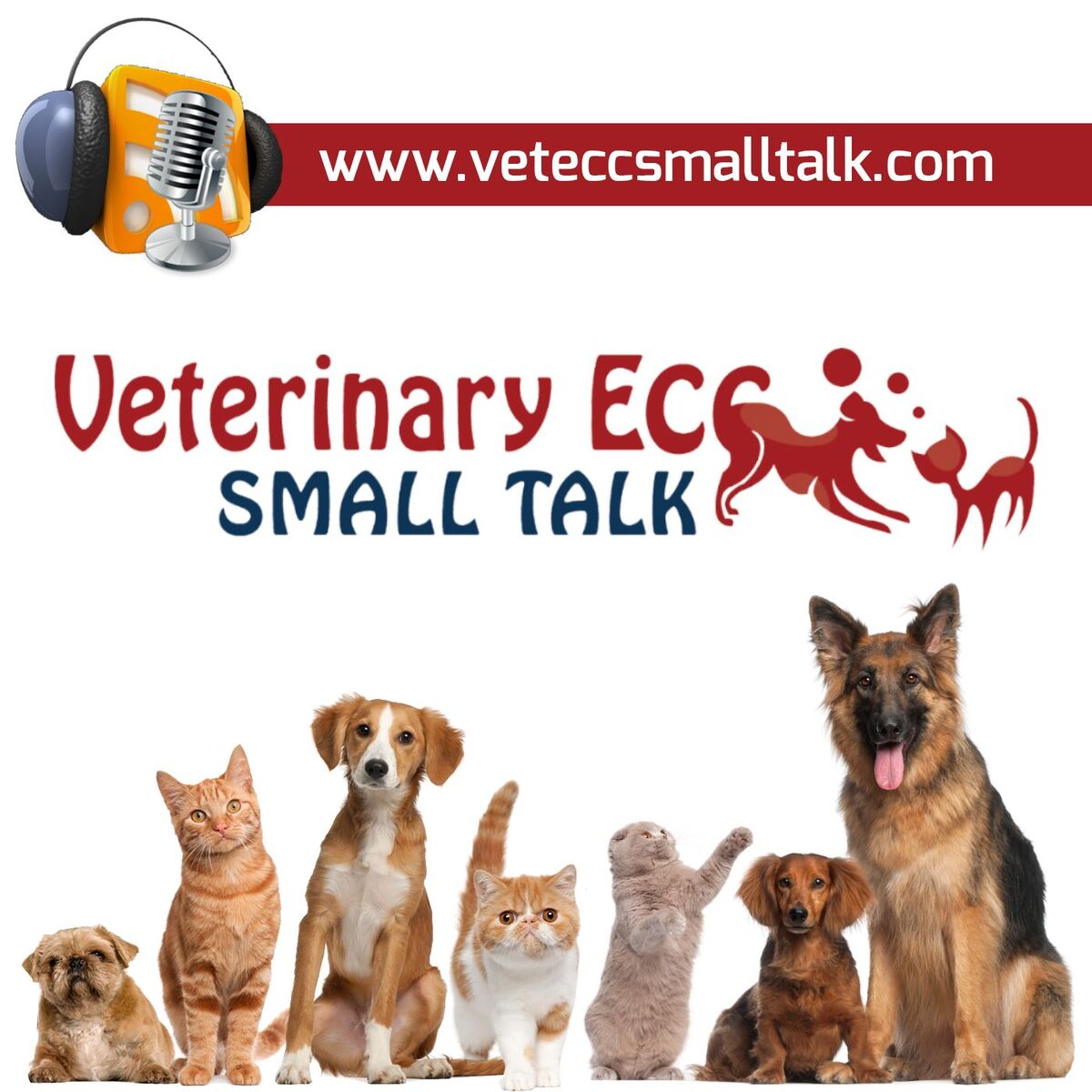 Show cover of Veterinary ECC Small Talk