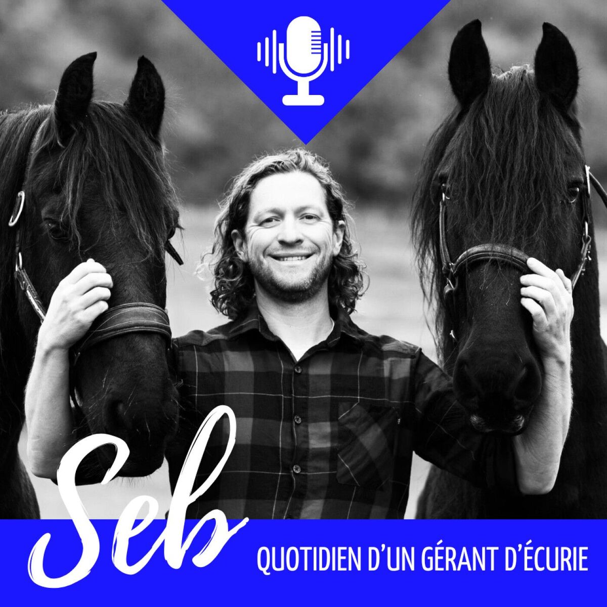 Show cover of Seb, quotidien d'un gérant d'écurie