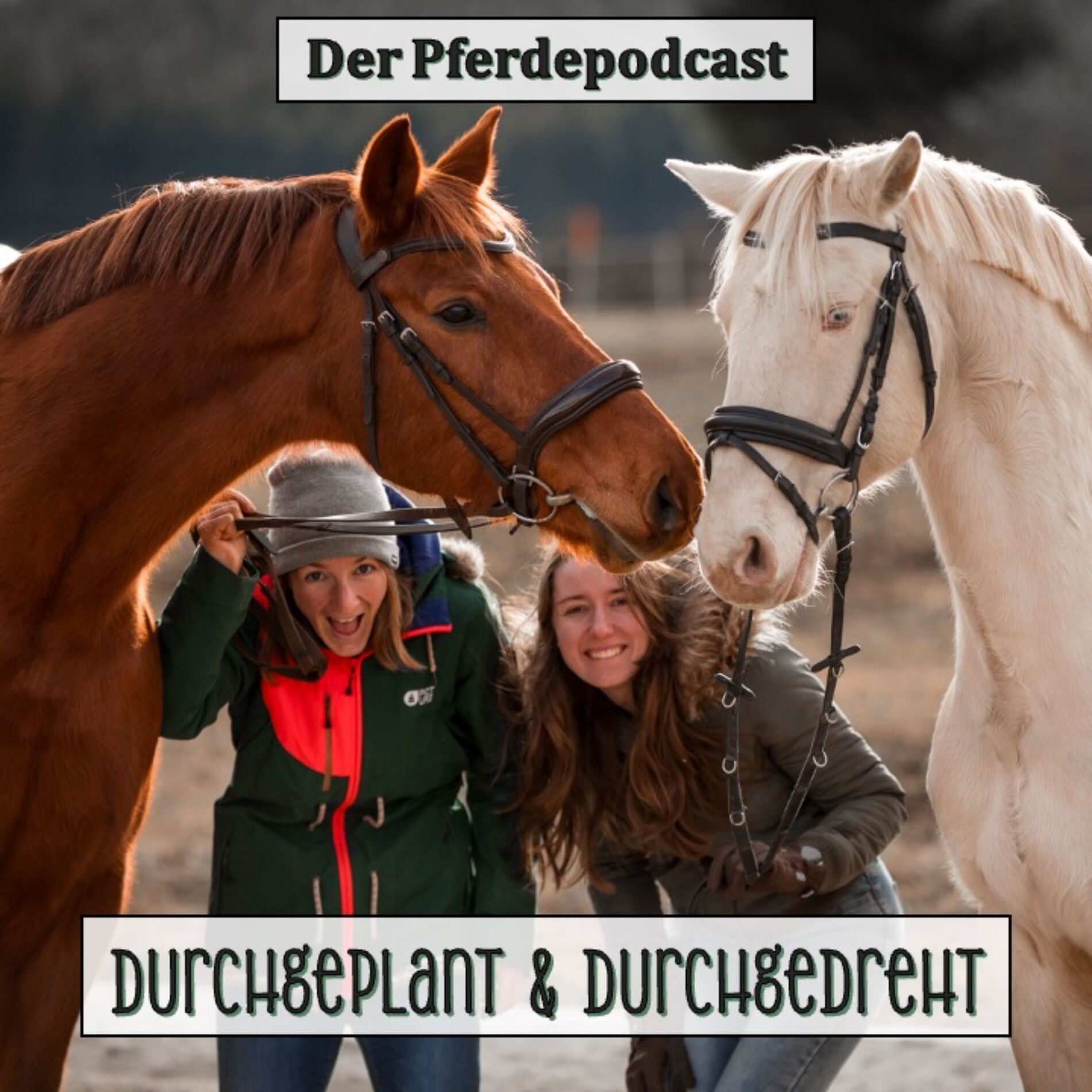 Show cover of Durchgeplant und Durchgedreht - der Pferdepodcast