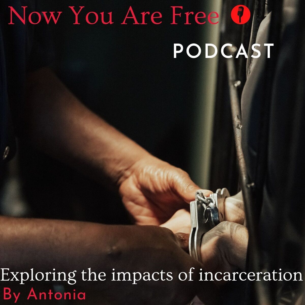 Show cover of Now You Are Free Podcast