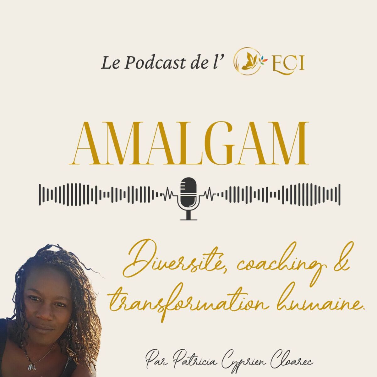 Show cover of Amalgam : Inclusion, diversité et transformation humaine