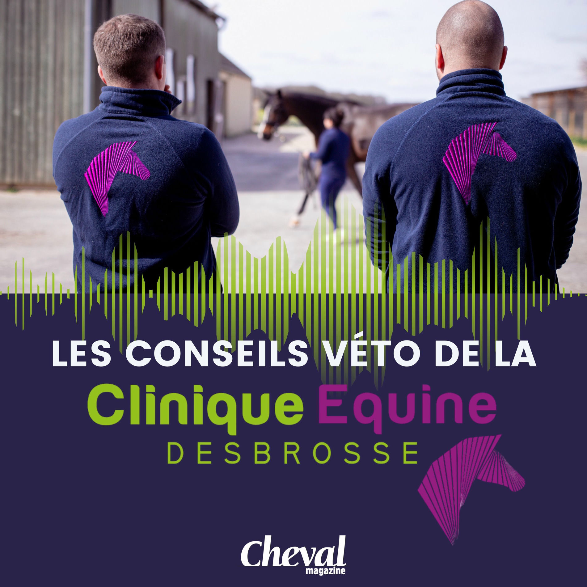 Show cover of Les conseils véto de la Clinique Equine Desbrosse
