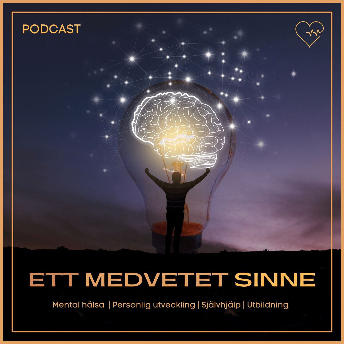 Show cover of Ett medvetet sinne