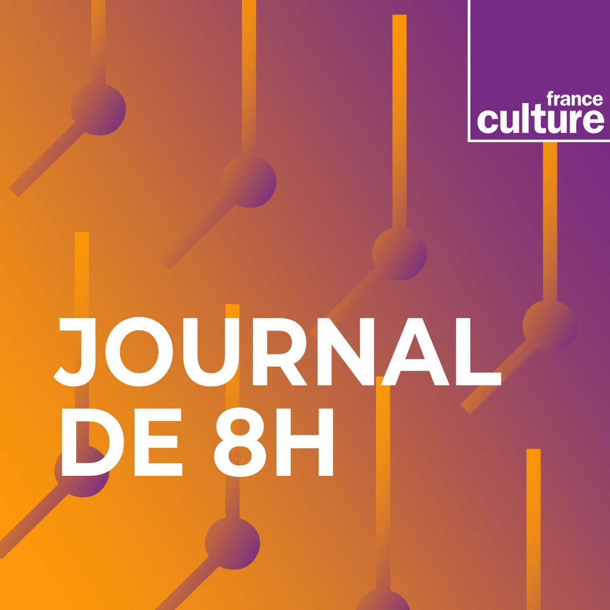 Show cover of Journal de 8 h