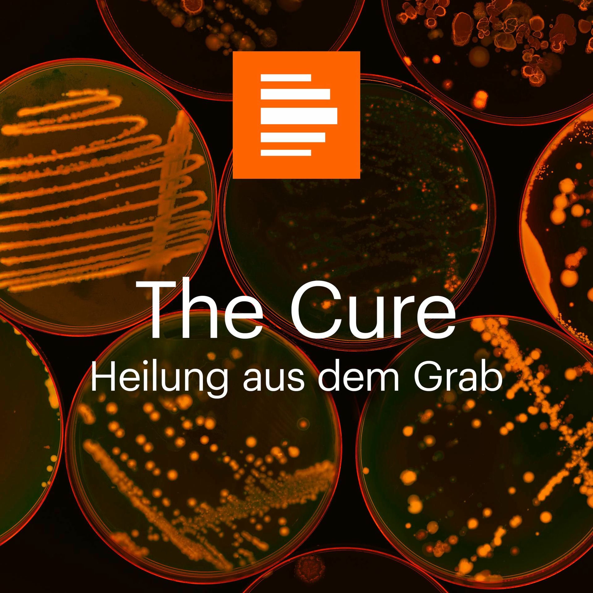 Show cover of The Cure – Heilung aus dem Grab