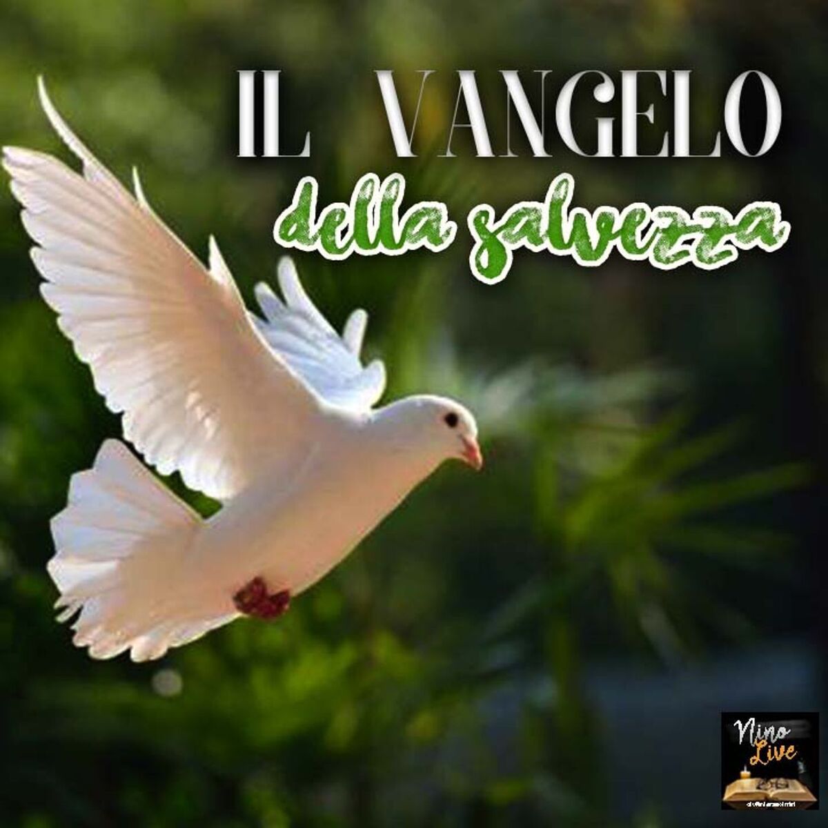 Show cover of Il Vangelo della Salvezza 