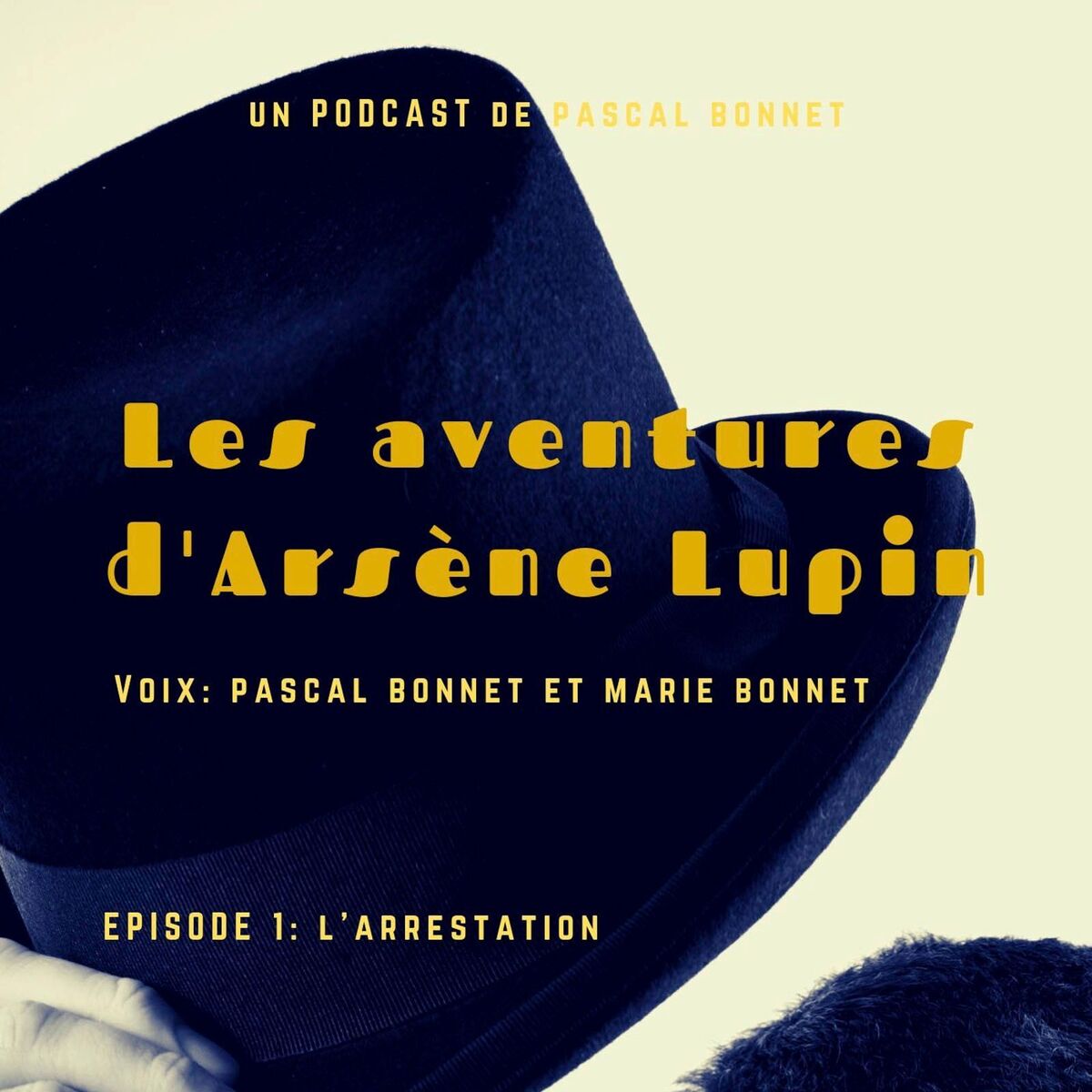 Show cover of Histoires à écouter.