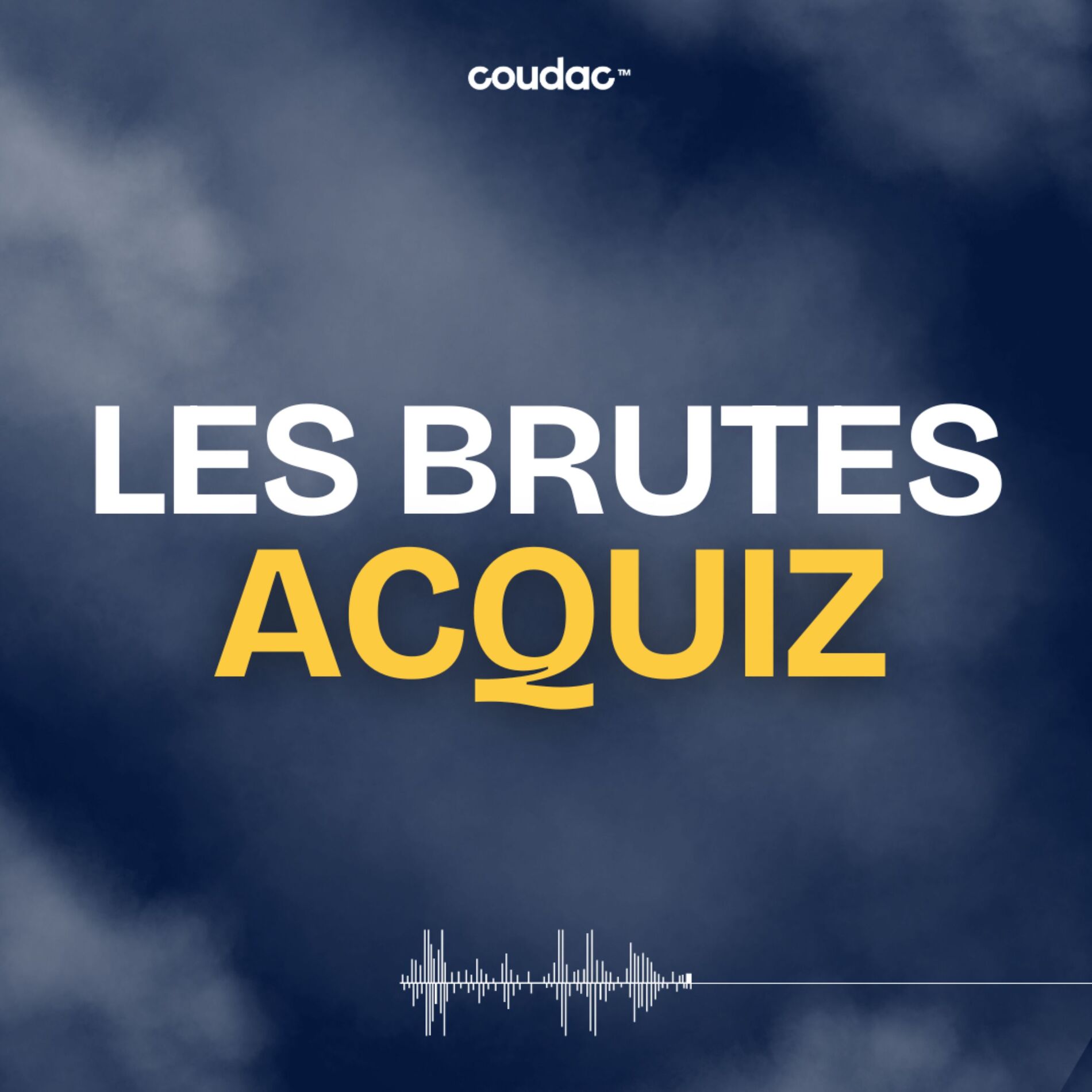 Show cover of Les Brutes Acquiz by Coudac (ex les brutes e-commerce)