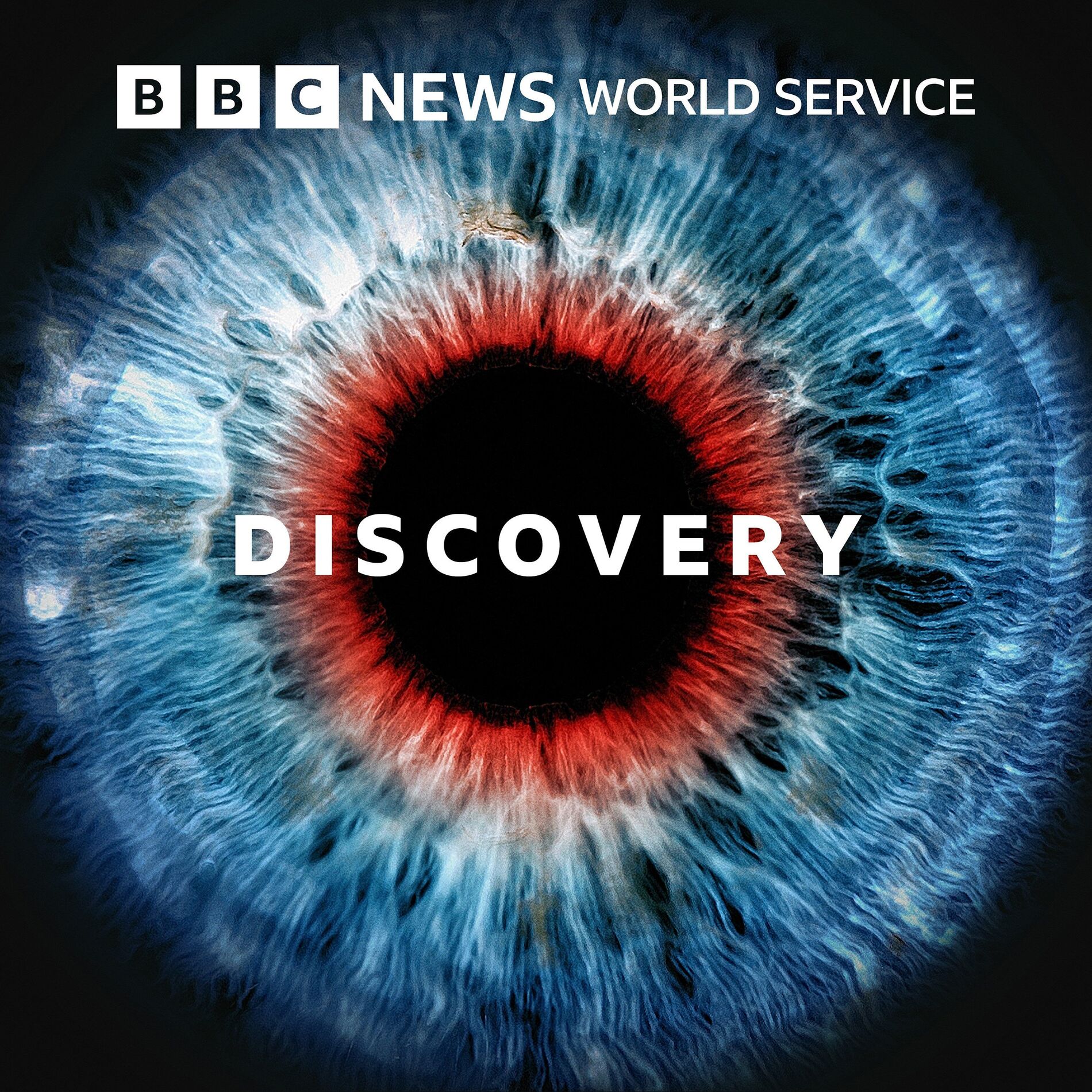 Show cover of Discovery