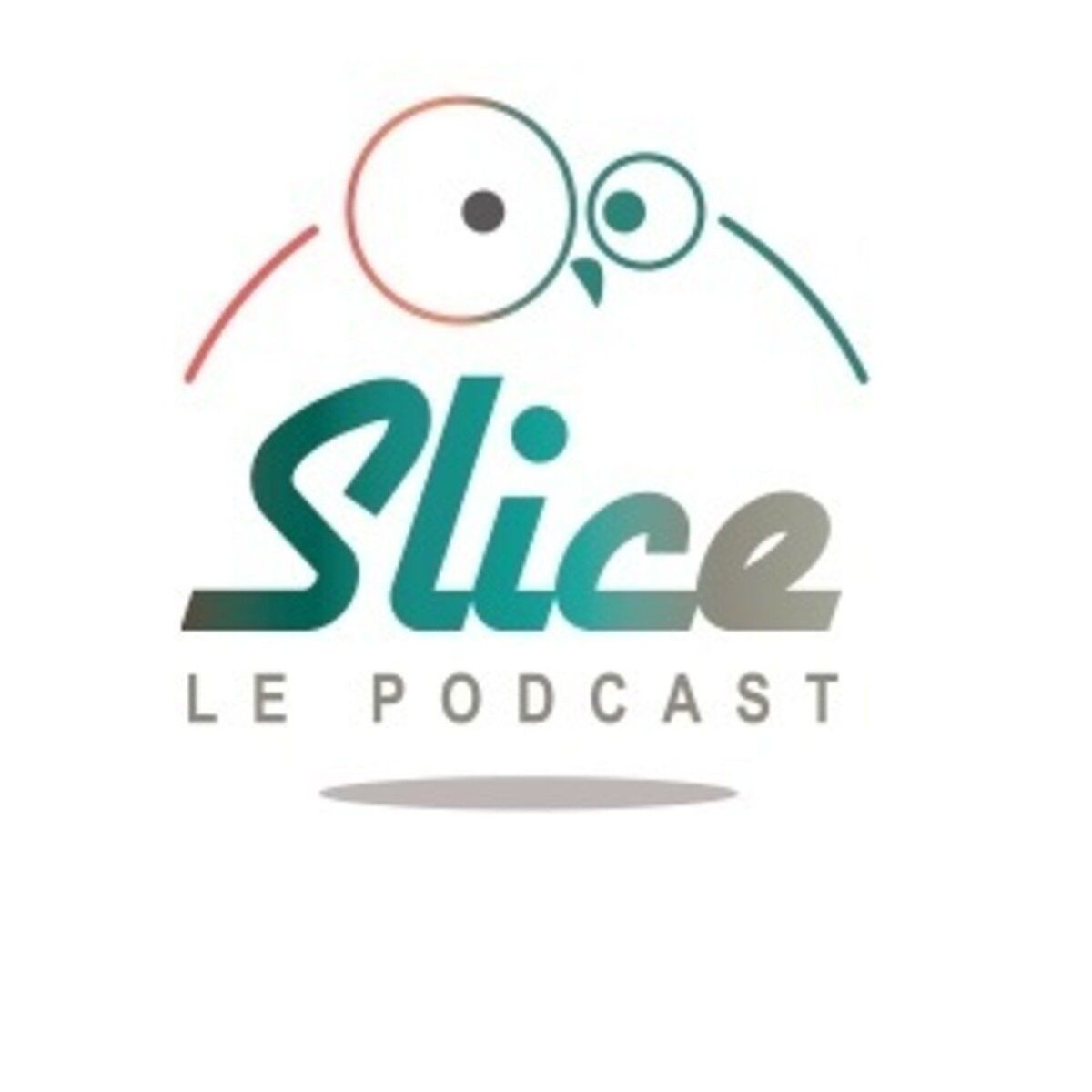 Show cover of SLICE Le Podcast