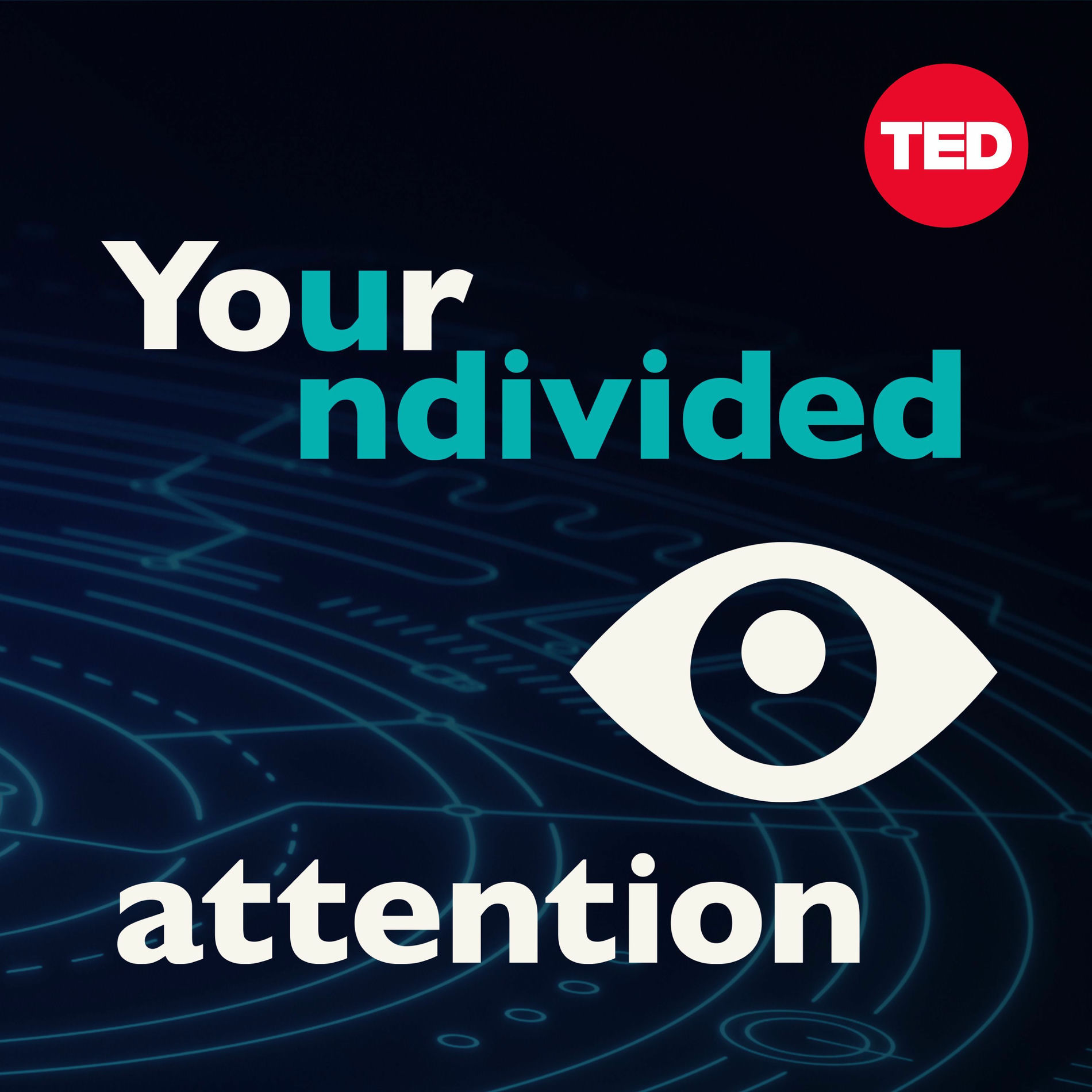 Show cover of Your Undivided Attention