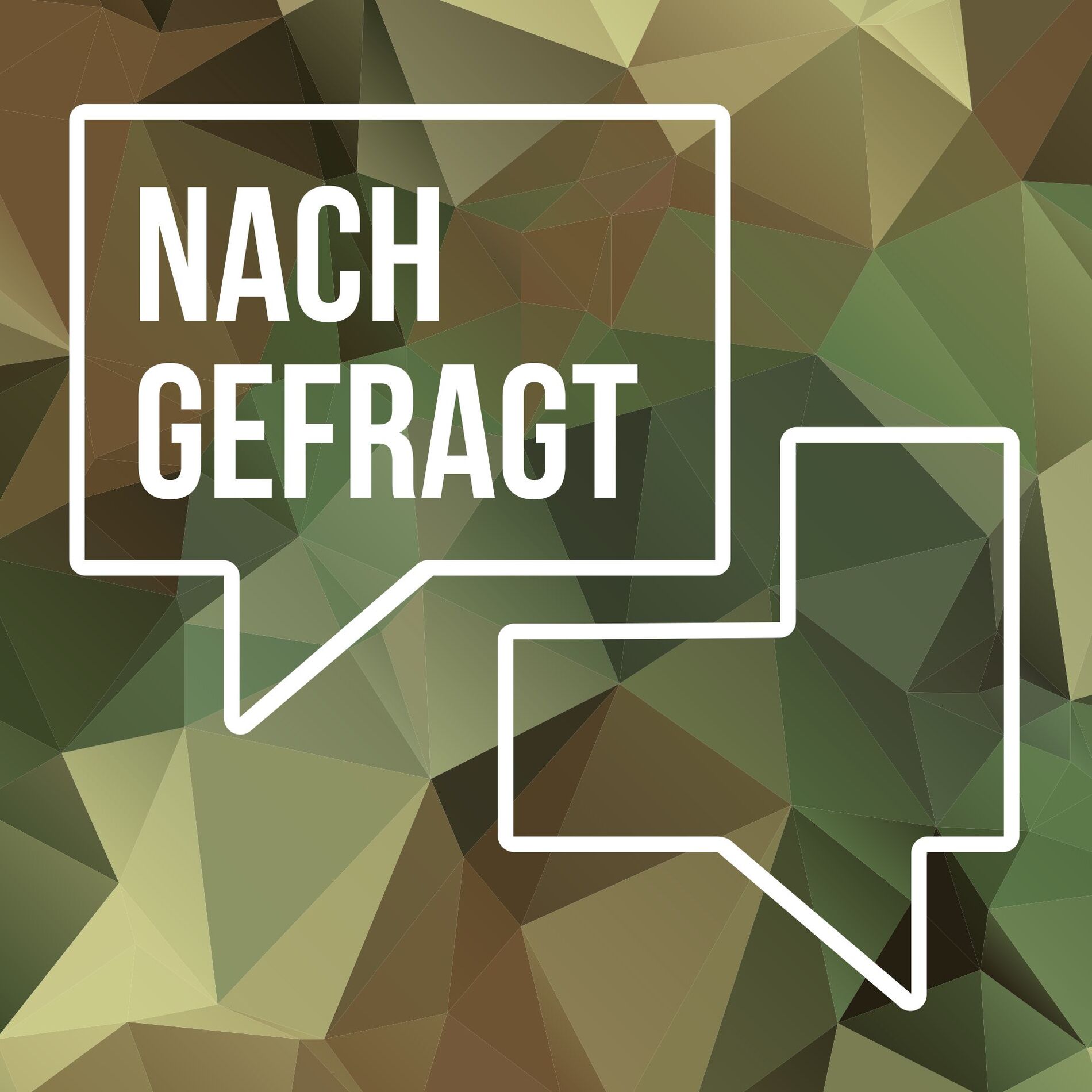 Show cover of Nachgefragt: Krise, Krieg und Konflikte
