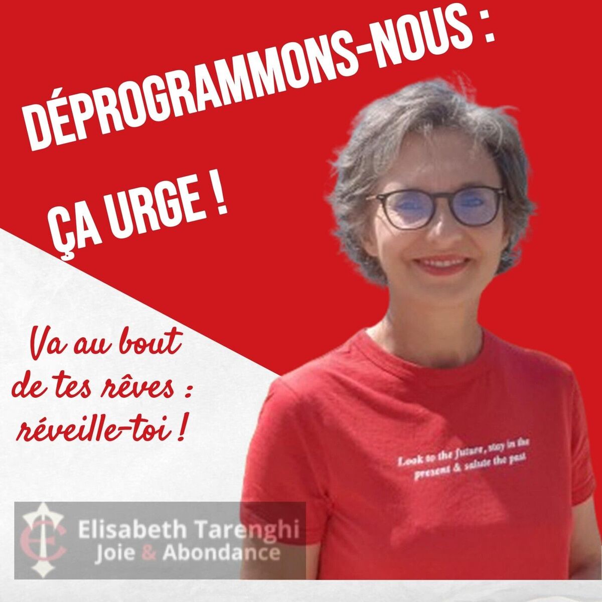Show cover of DÉPROGRAMMONS-NOUS, ÇA URGE ! Podcast par Elisabeth Tarenghi