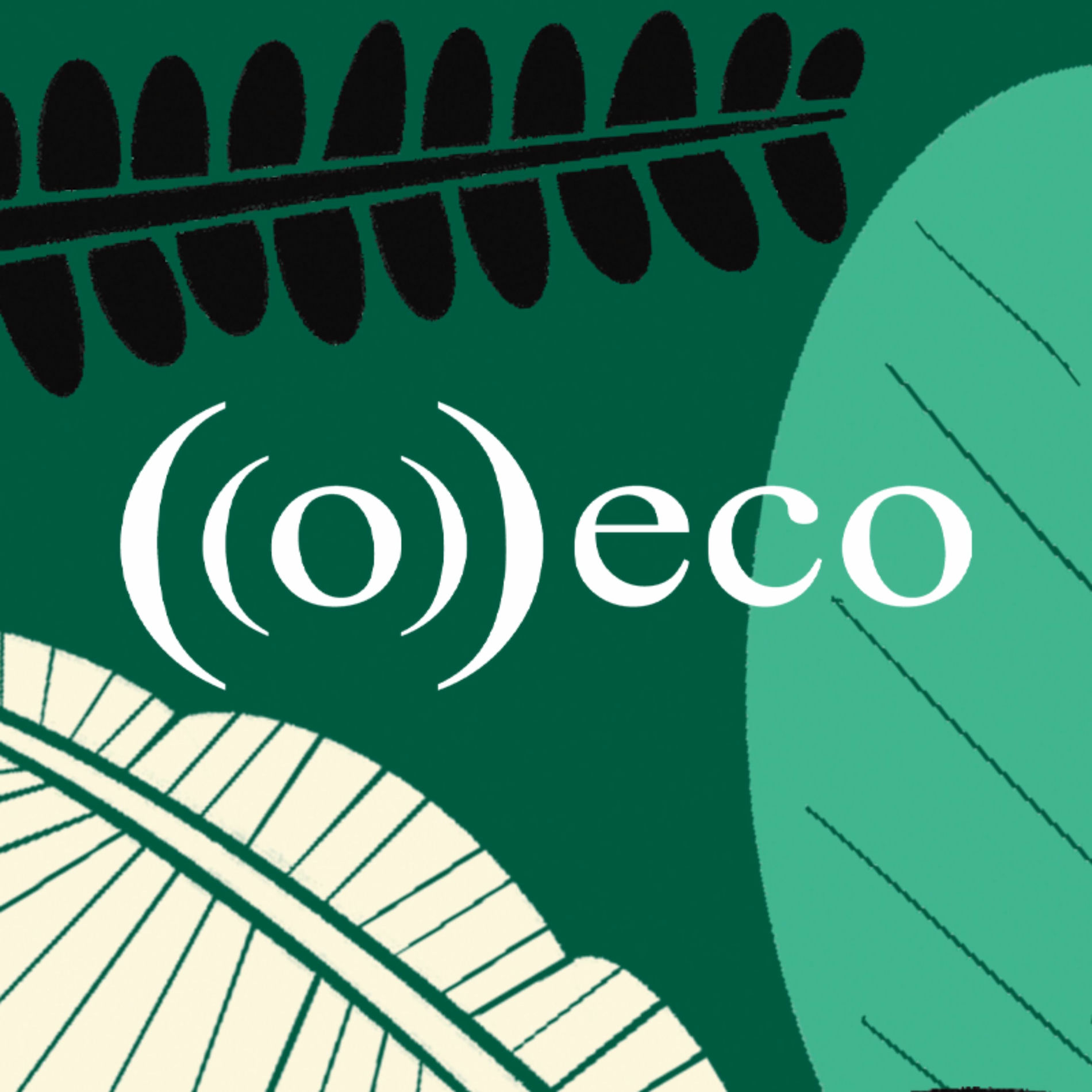 Show cover of O Eco | Jornalismo Ambiental