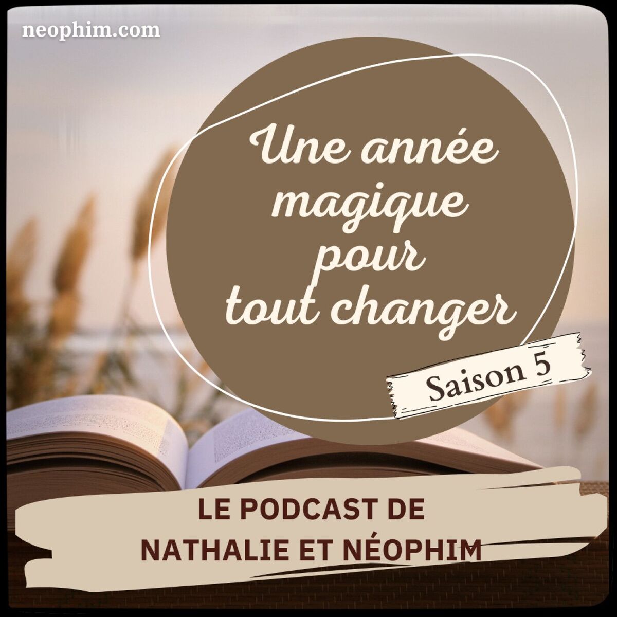 Show cover of Une année magique pour tout changer