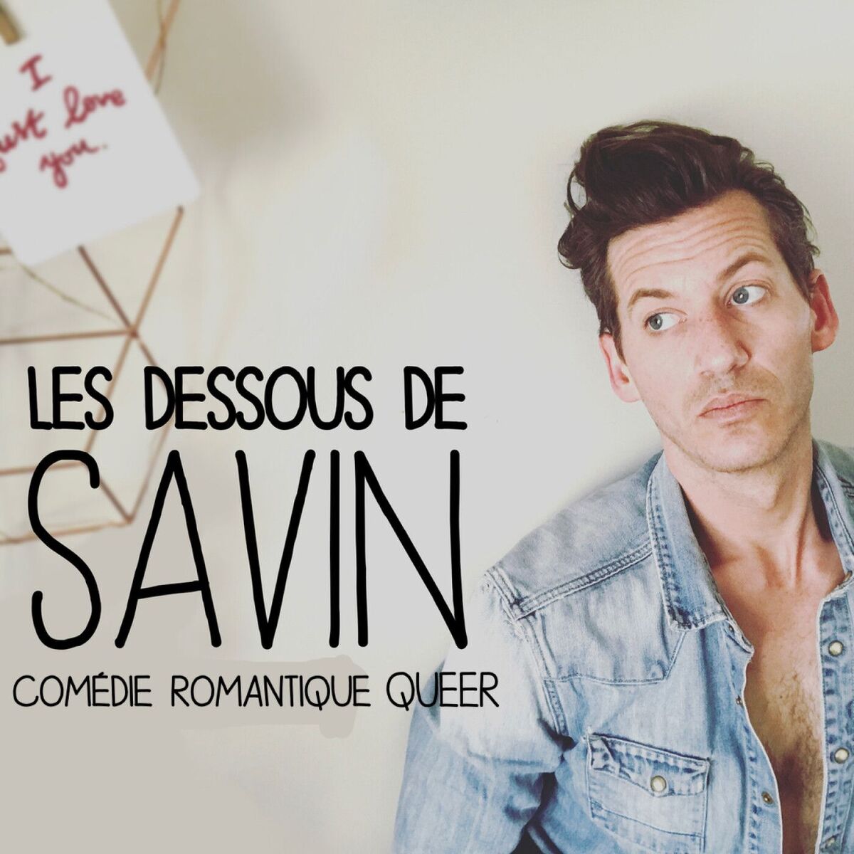 Show cover of LES DESSOUS DE SAVIN -  Comédie romantique - Journal intime d'un quadra gay et célibataire.