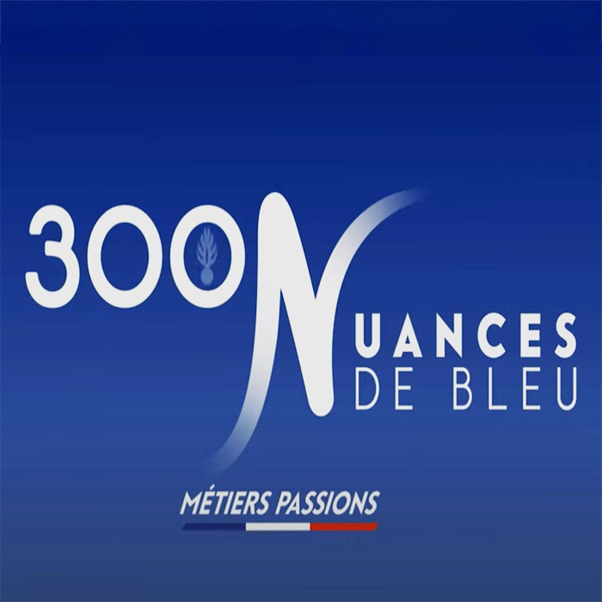 Show cover of Gendarmerie Nationale, 300 Nuances de bleu