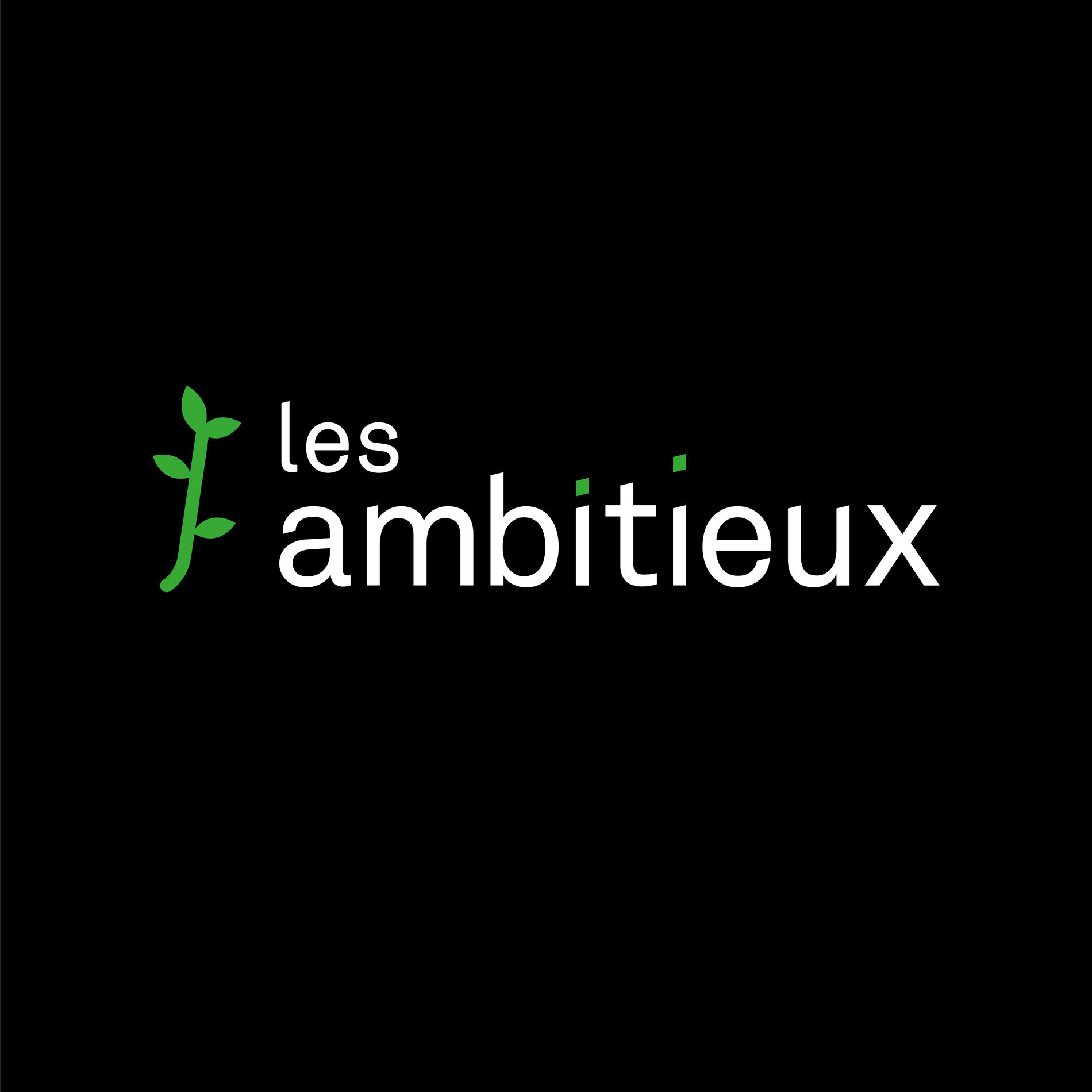 Show cover of Les Ambitieux