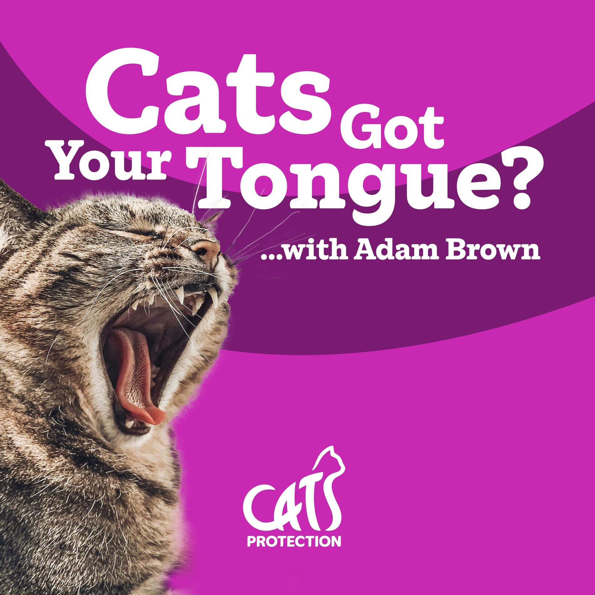Show cover of Cats Got Your Tongue?