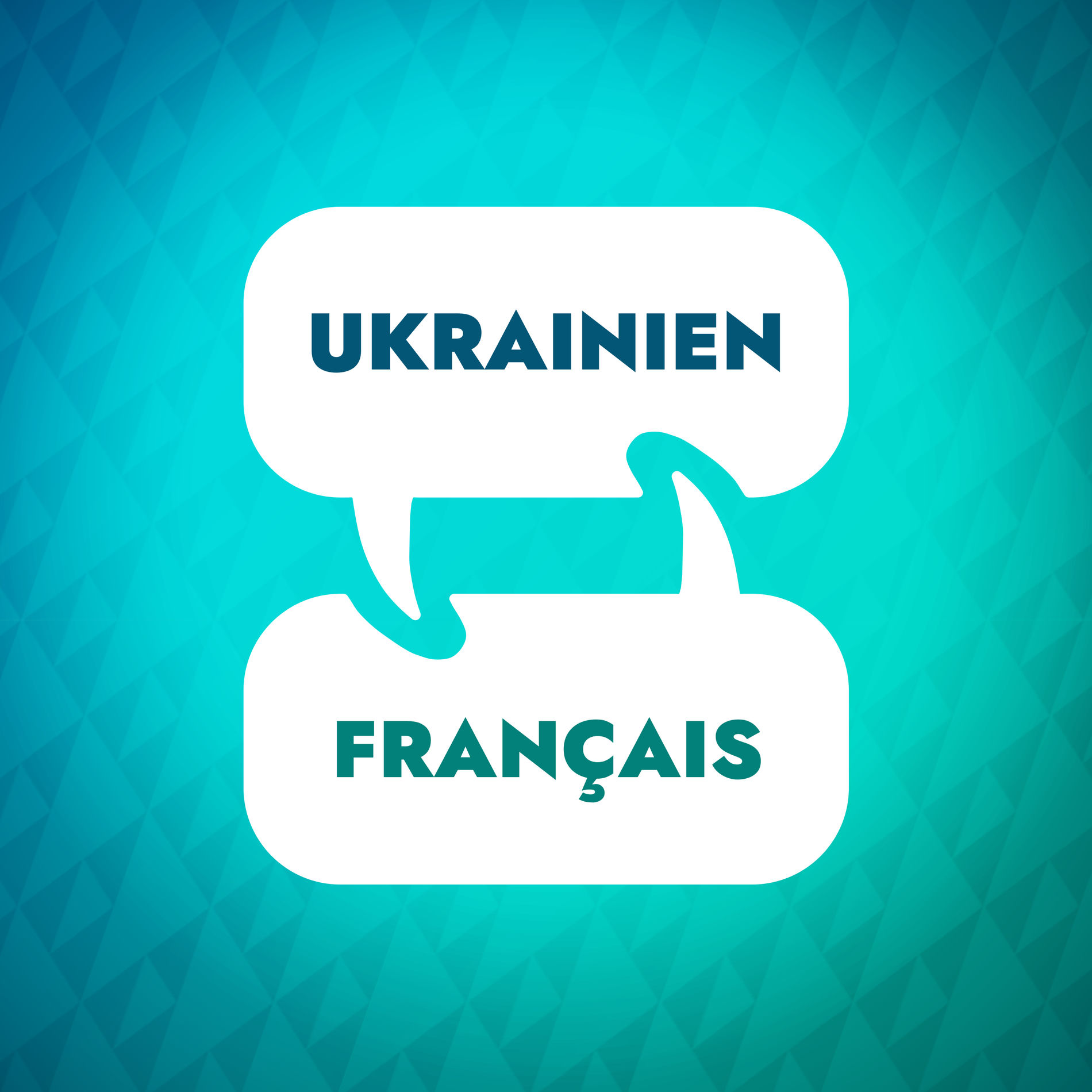 Show cover of Accélérateur d'apprentissage en ukrainien