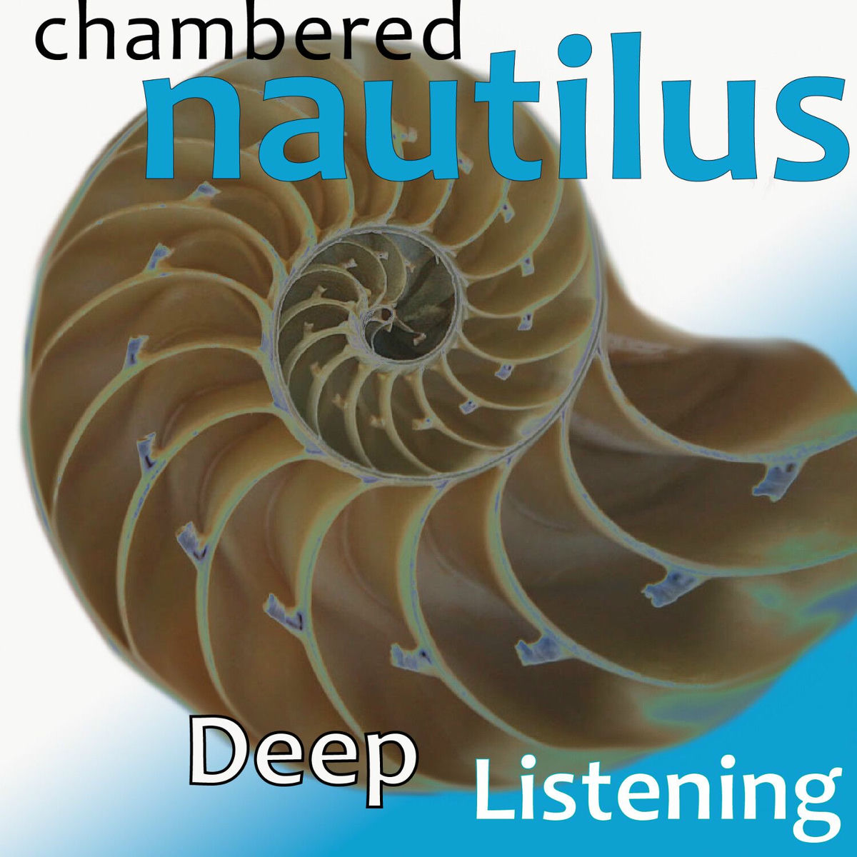 Show cover of Chambered Nautilus