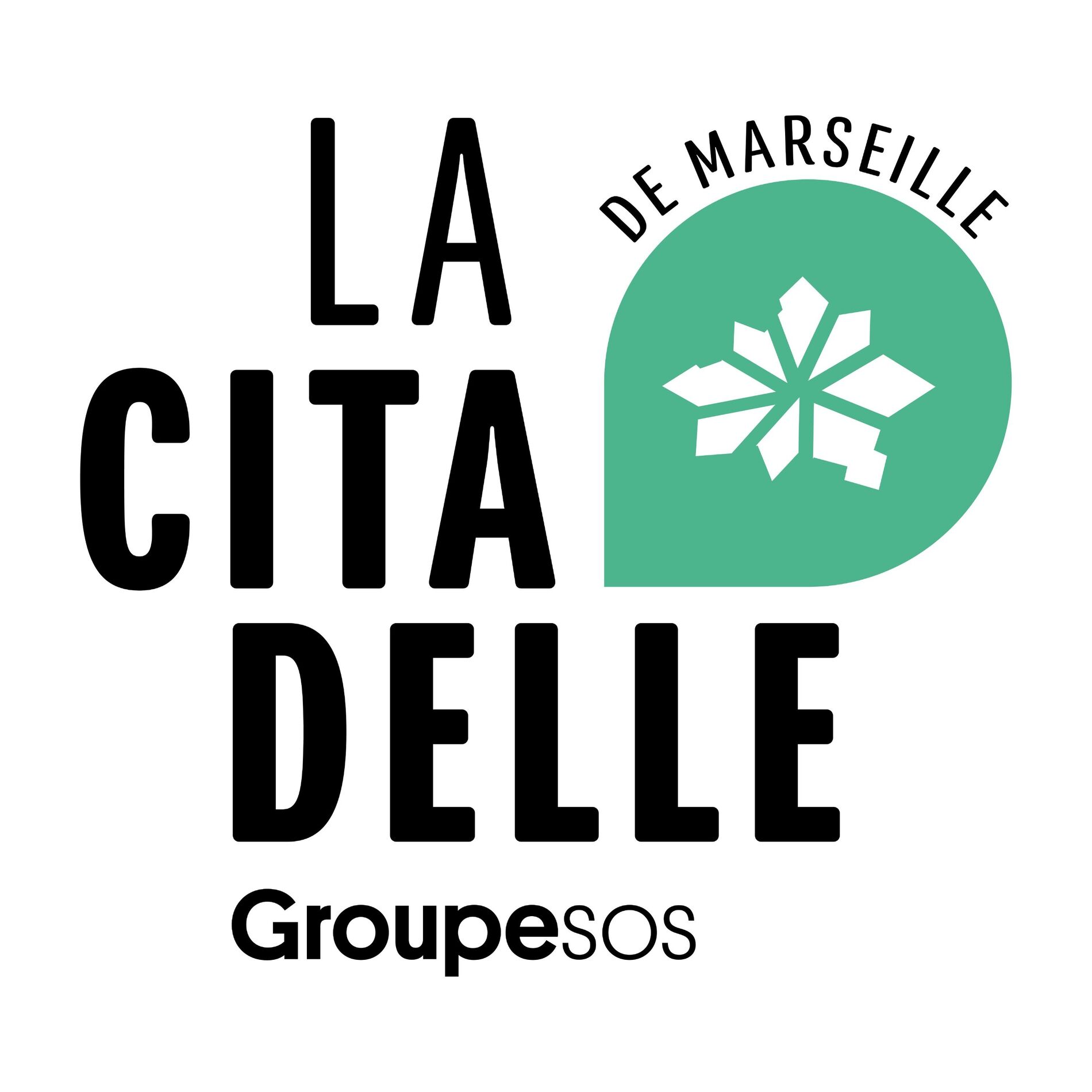 Show cover of Les podcasts de la Citadelle de Marseille