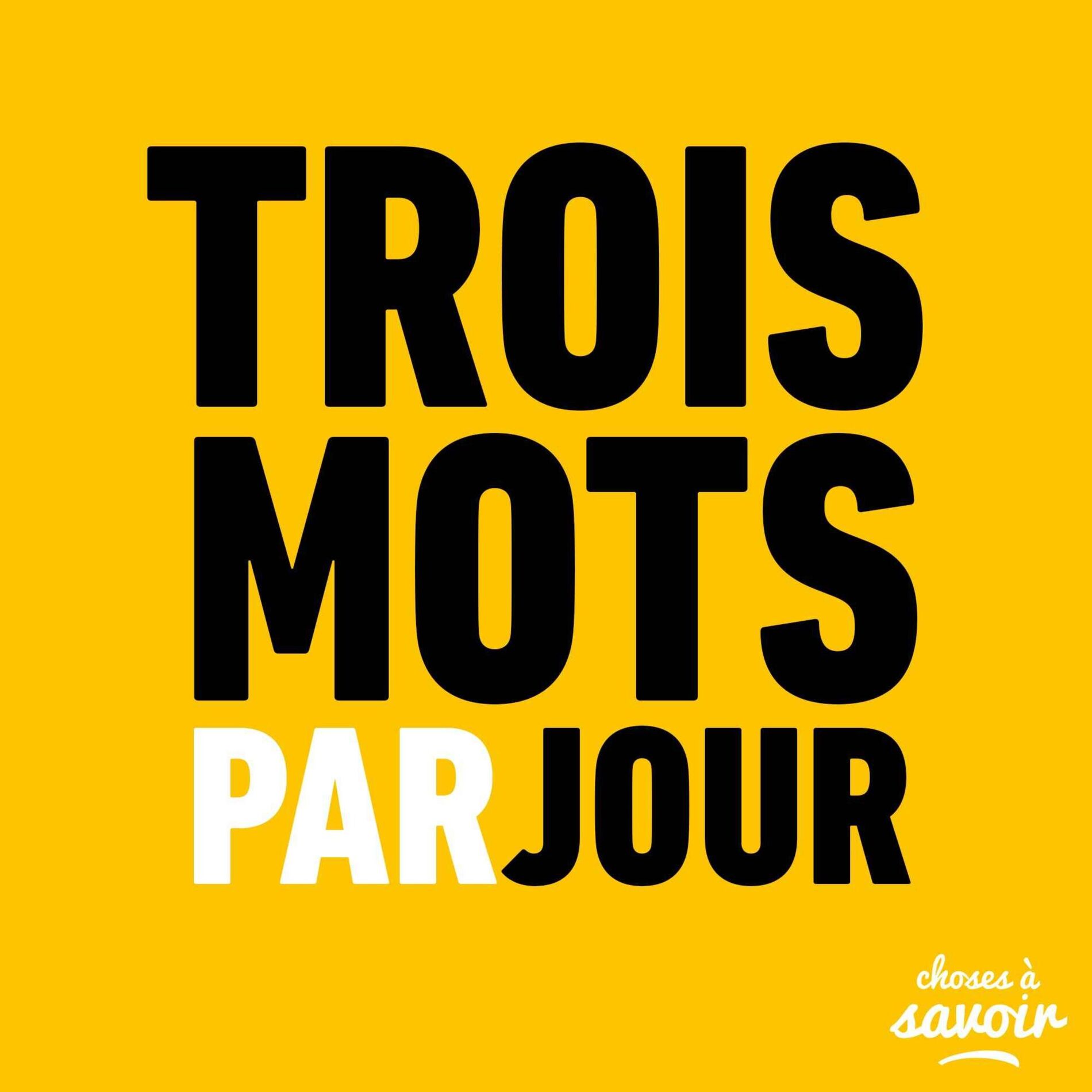 Show cover of Trois mots par jour