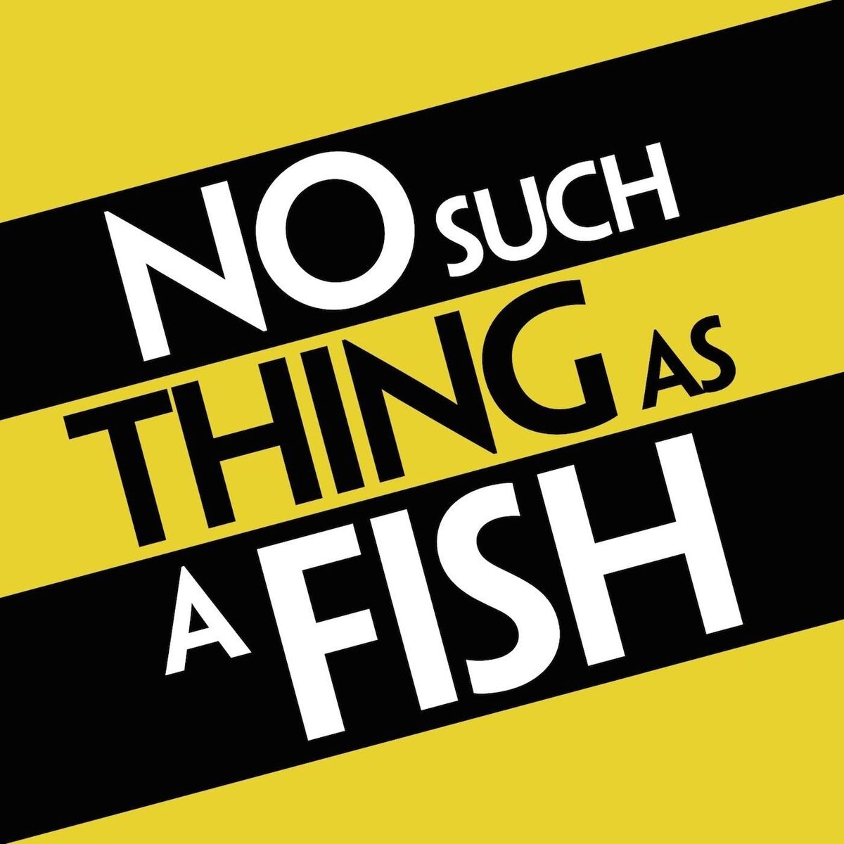 Show cover of No Such Thing As A Fish