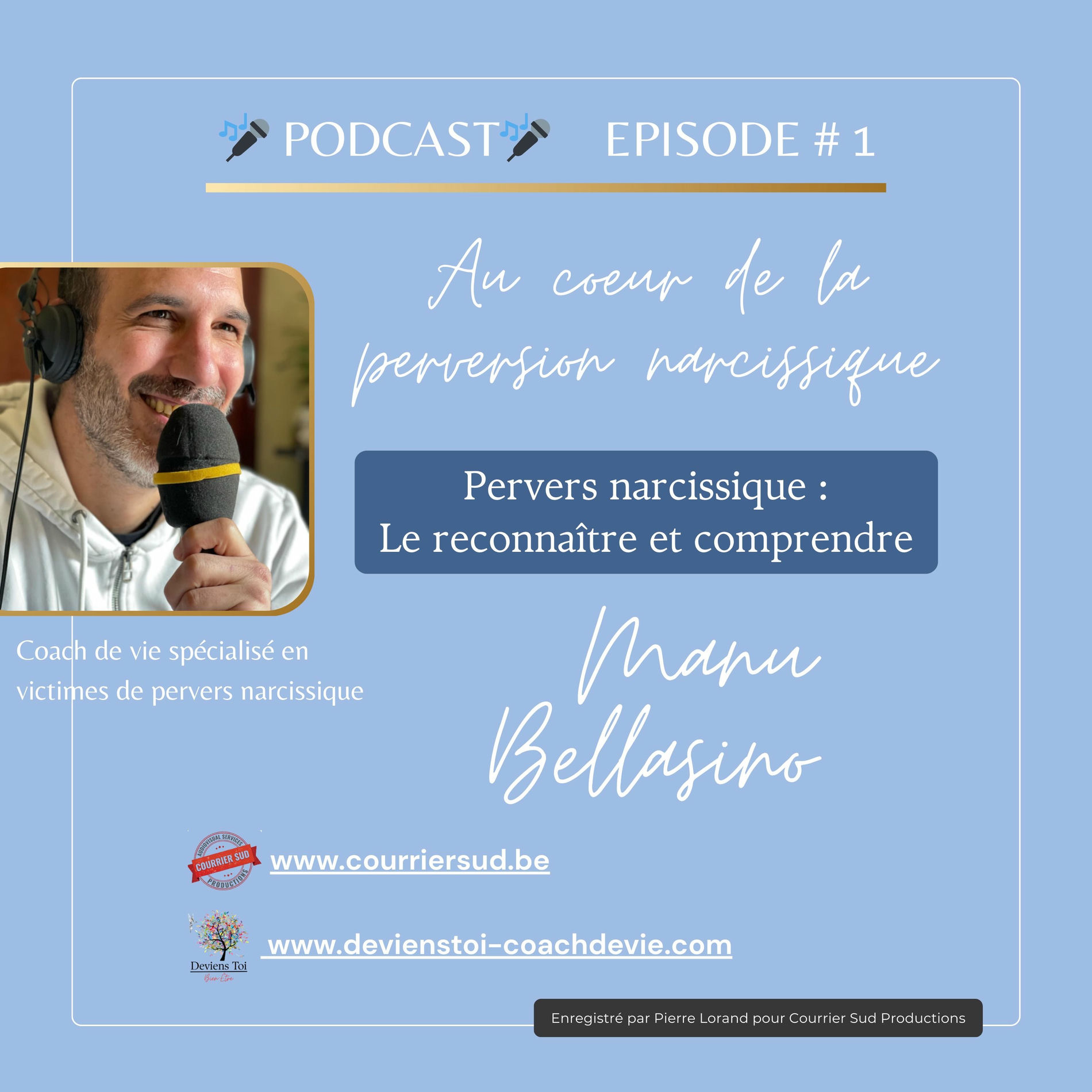 Show cover of Au cœur de la perversion narcissique