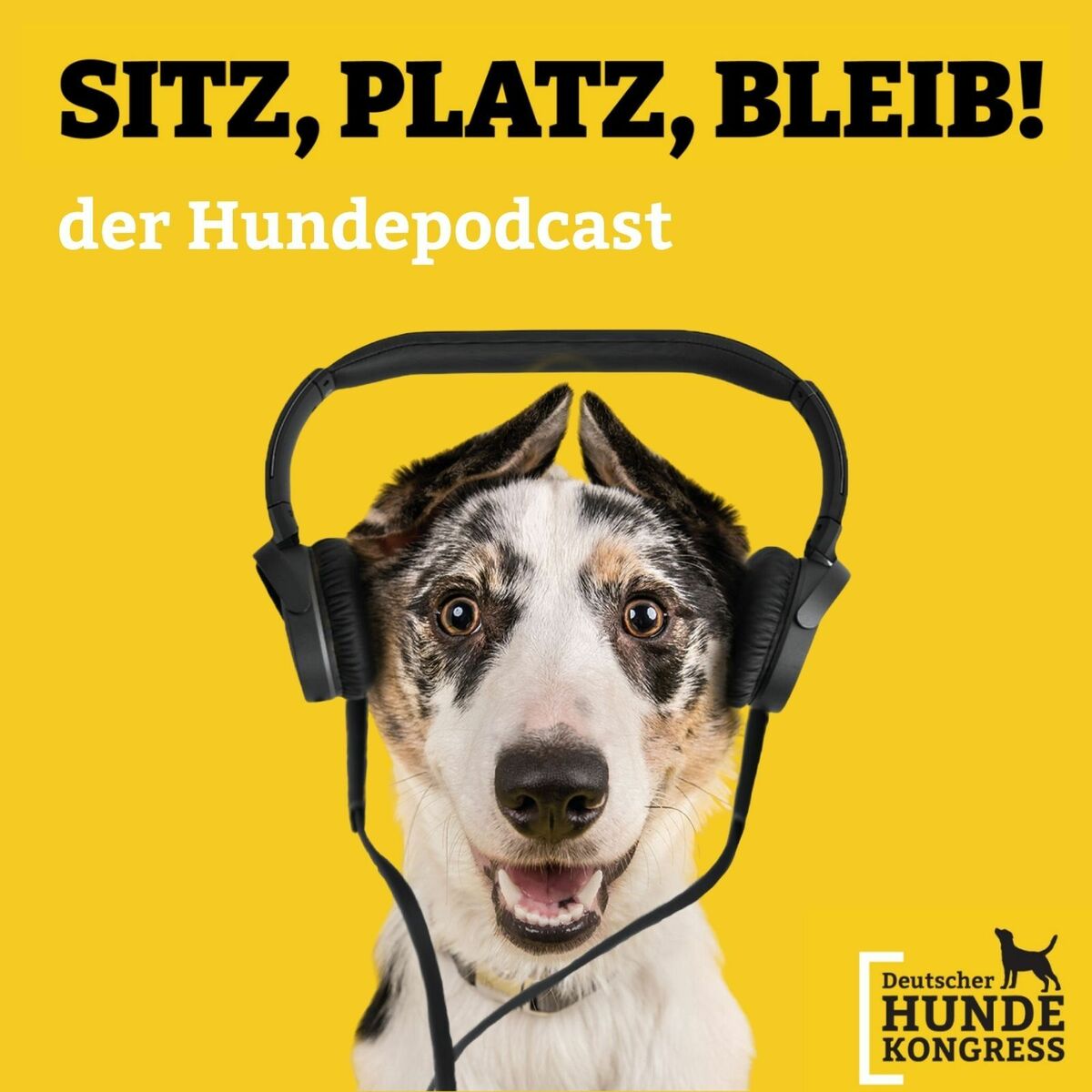 Show cover of Sitz! Platz! Bleib! - der Hundepodcast